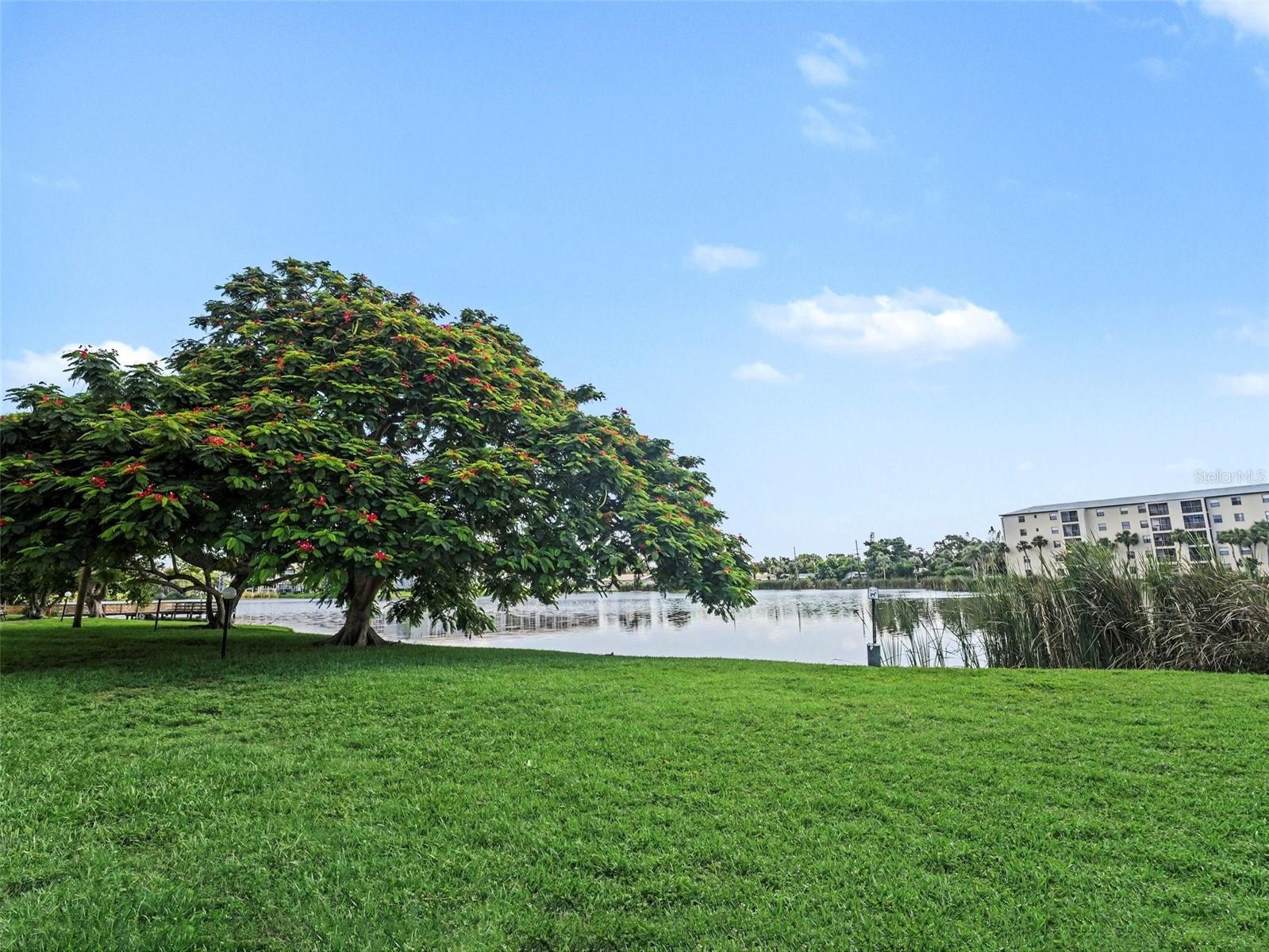 4023 LAKE BAYSHORE DR #112 — photo 38