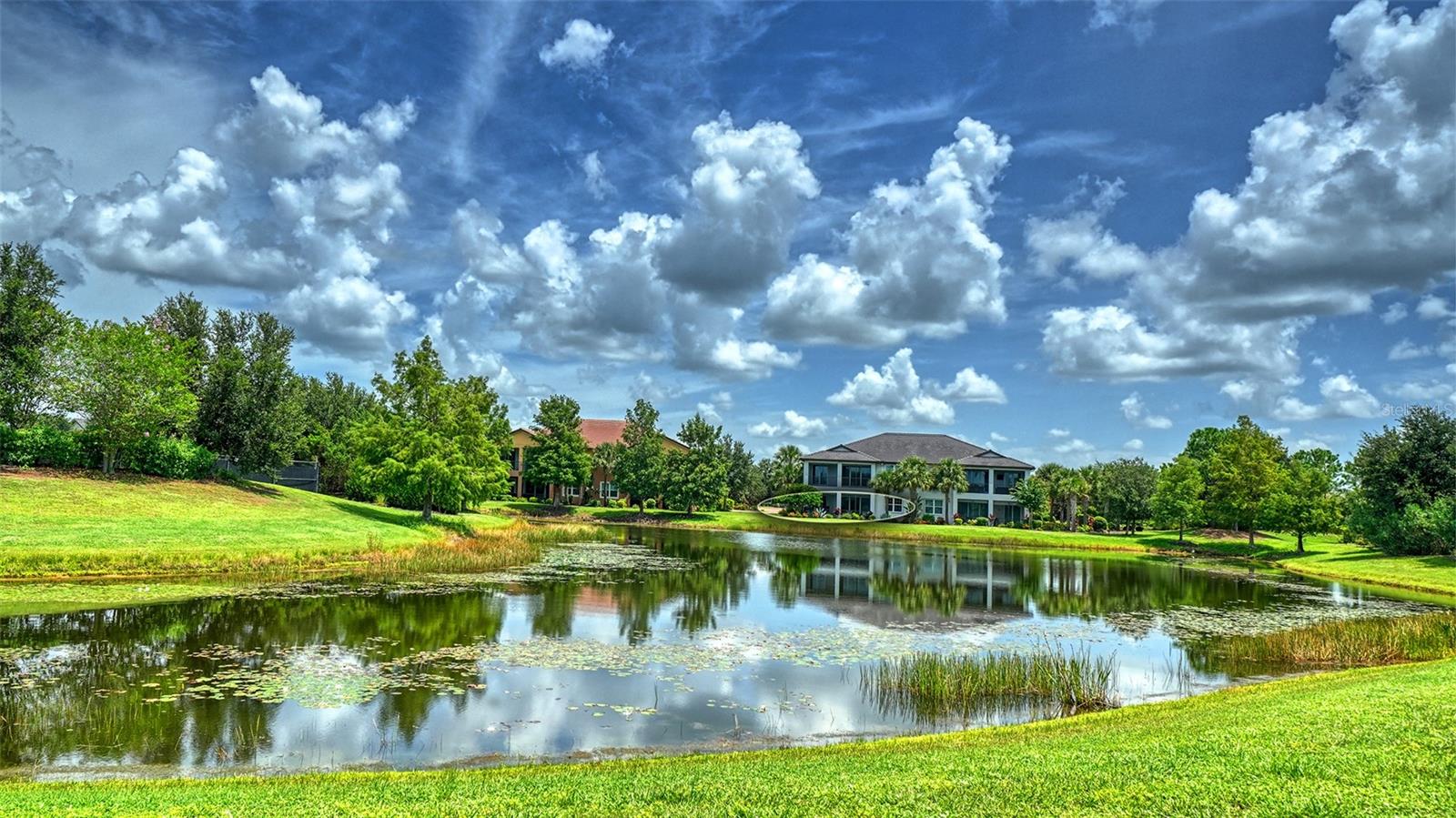 7552 DIVOT LOOP — photo 15