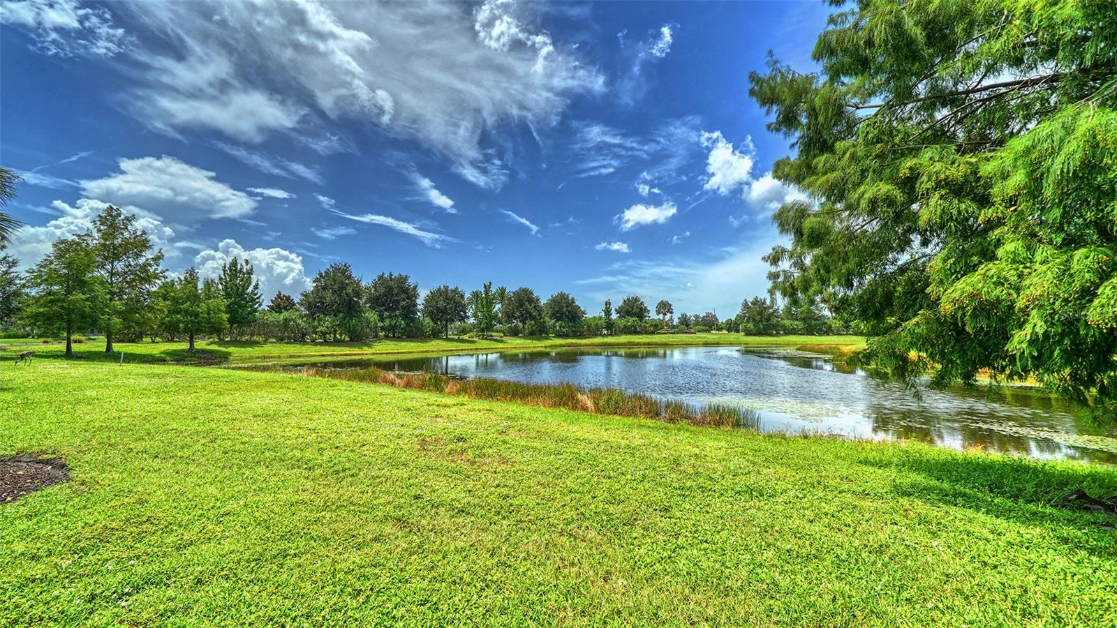 7552 DIVOT LOOP — photo 43