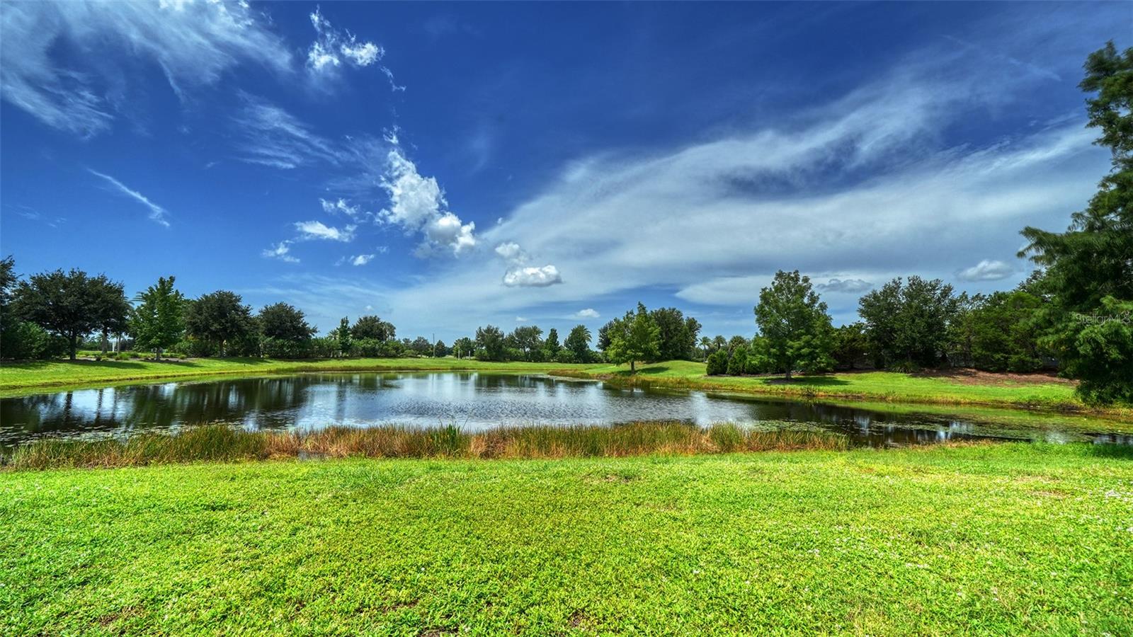 7552 DIVOT LOOP — photo 42