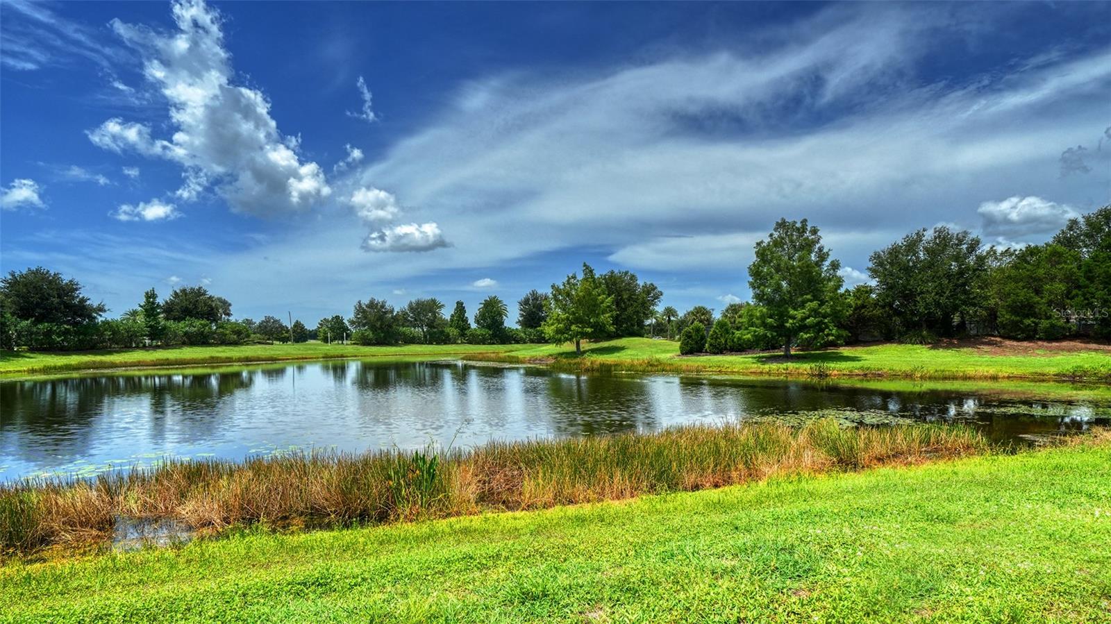 7552 DIVOT LOOP — photo 44