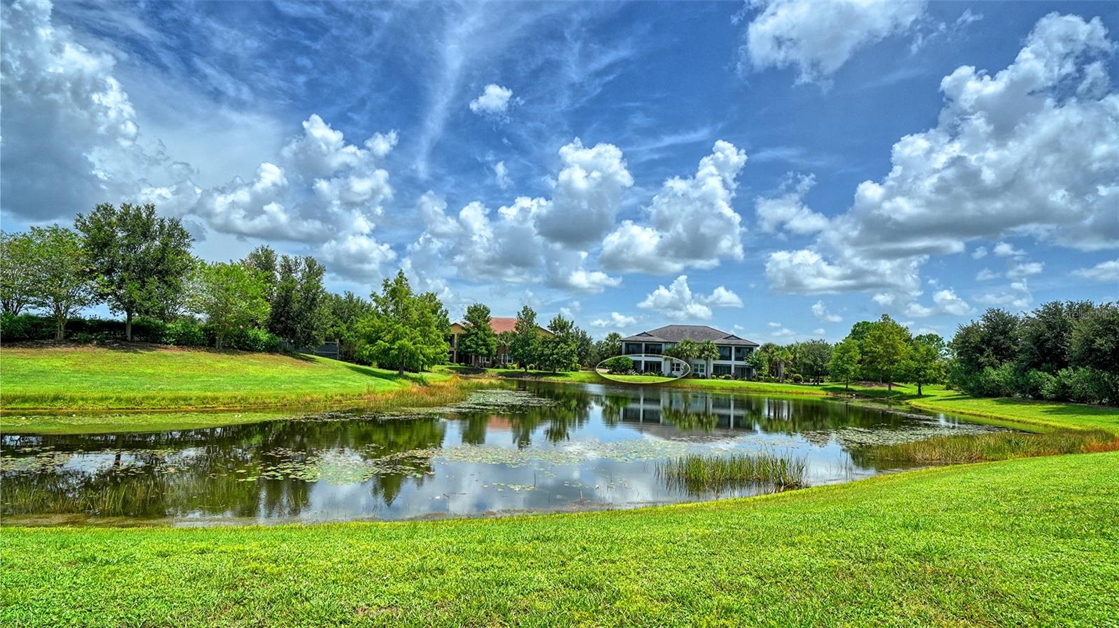 7552 DIVOT LOOP — photo 16
