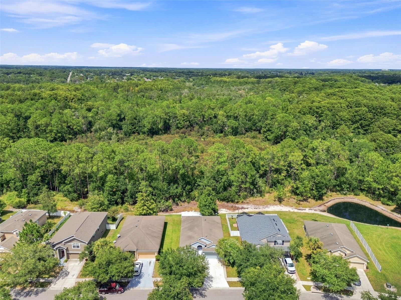 12118 COLONY LAKES BLVD — photo 17