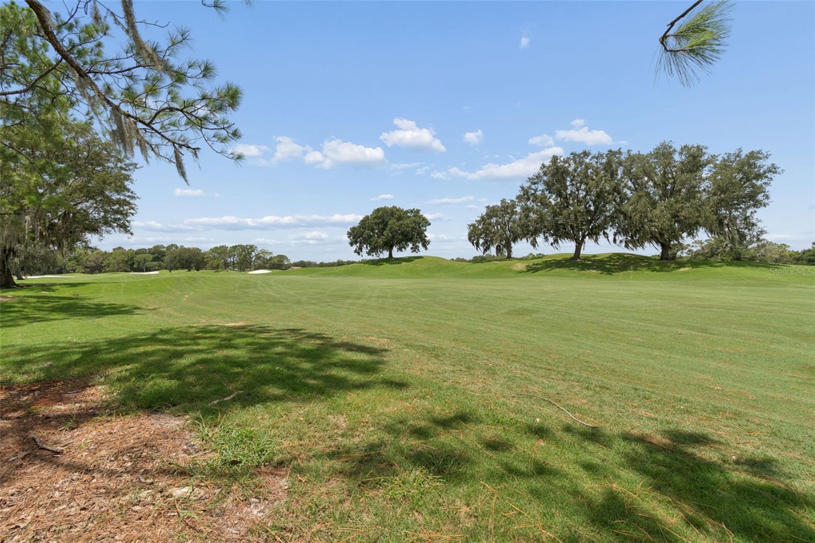 17714 GREY EAGLE RD — photo 33