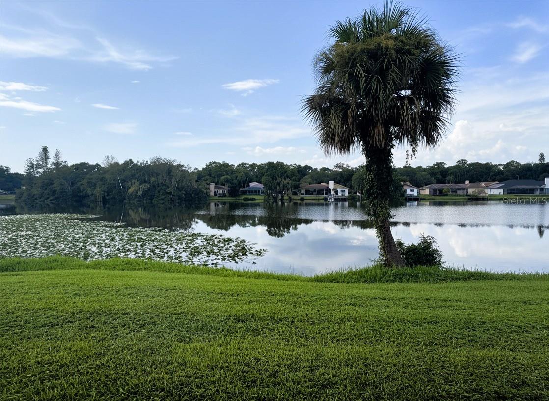 15502 MORNING DR — photo 24