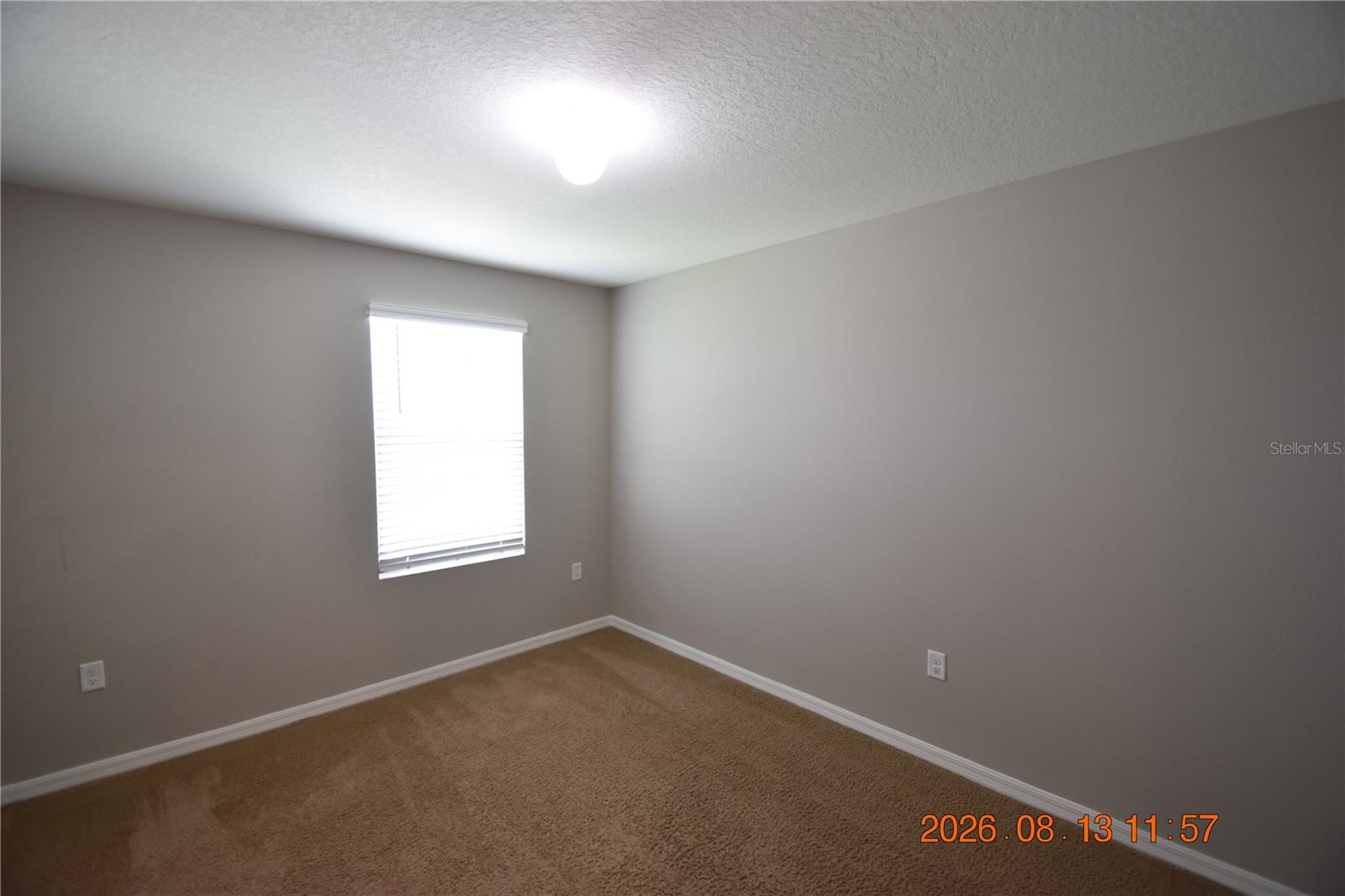 10233 MANGROVE WELL RD — photo 40