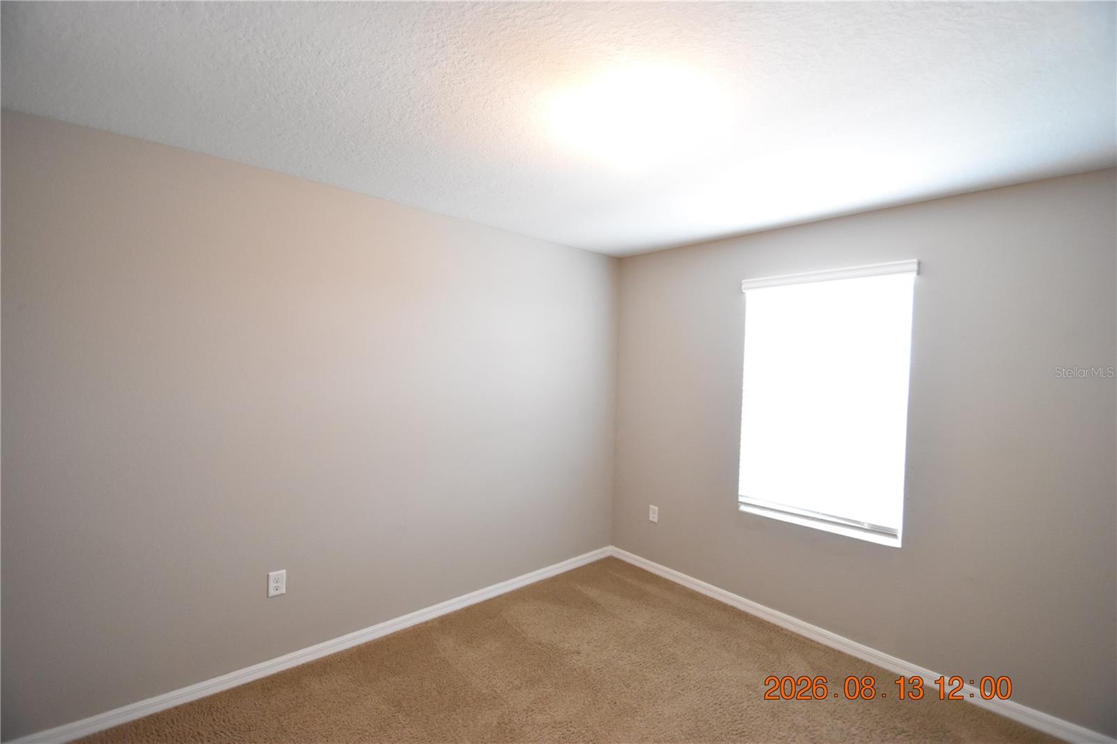 10233 MANGROVE WELL RD — photo 53