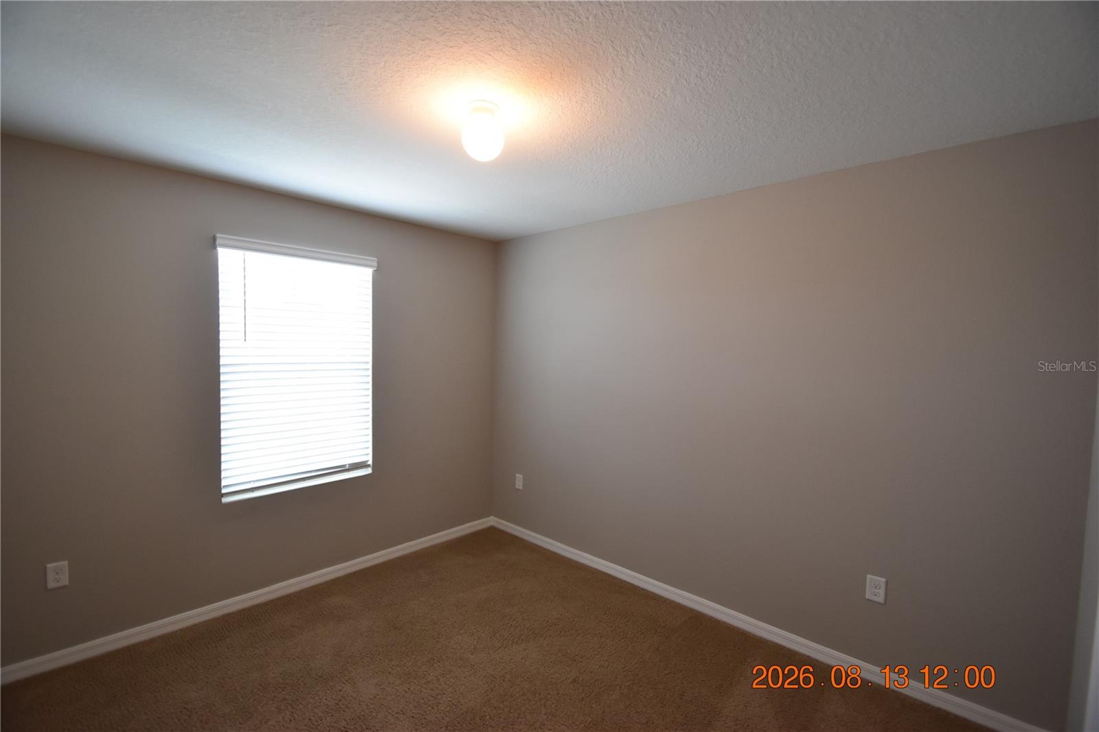 10233 MANGROVE WELL RD — photo 52