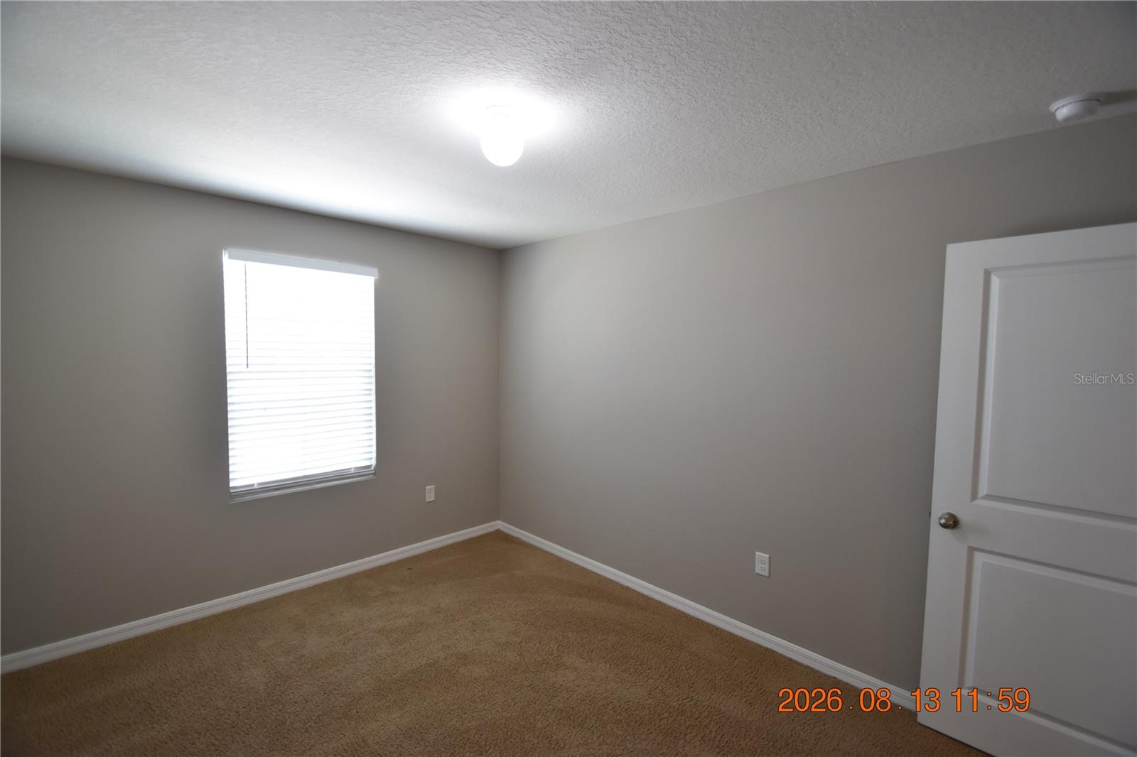 10233 MANGROVE WELL RD — photo 49
