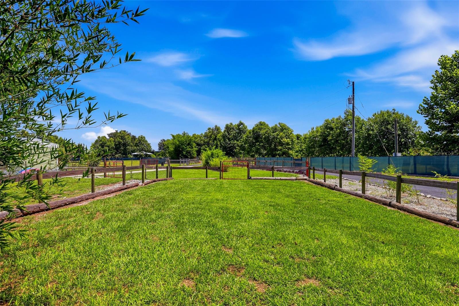 25916 STATE ROAD 64 E — photo 69