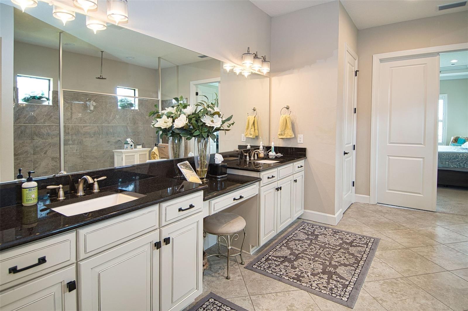 3456 FORSYTHIA DR — photo 49