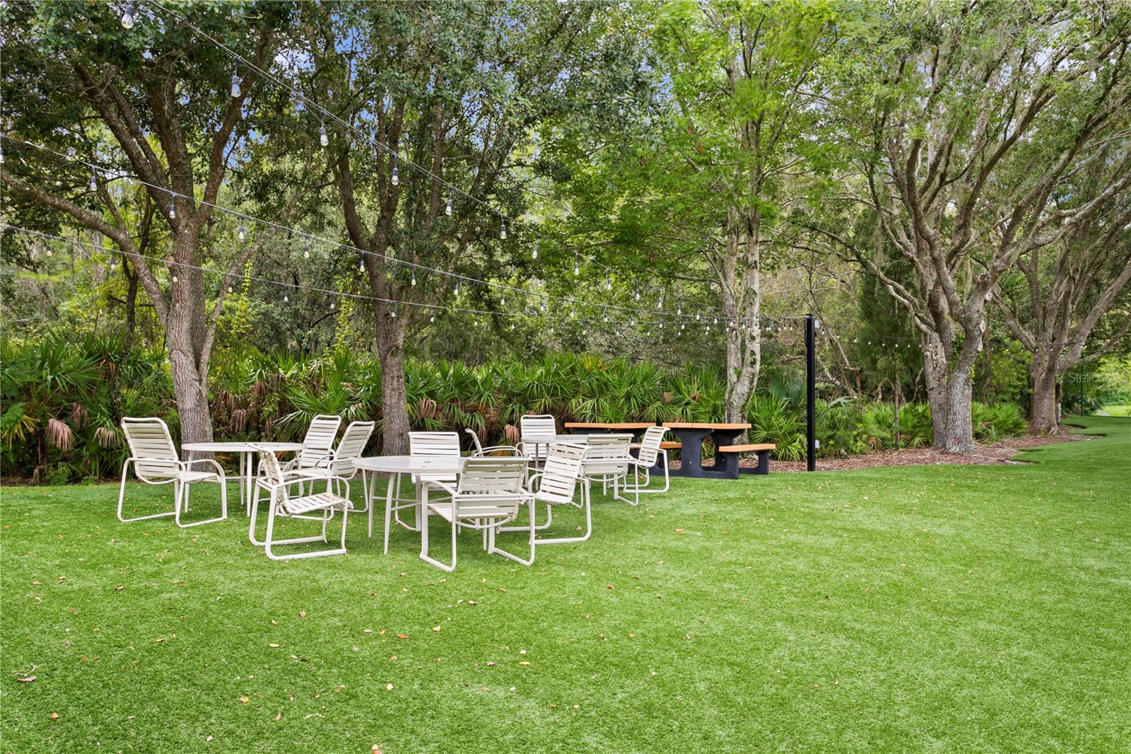 10245 DEVONSHIRE LAKE DR — photo 35