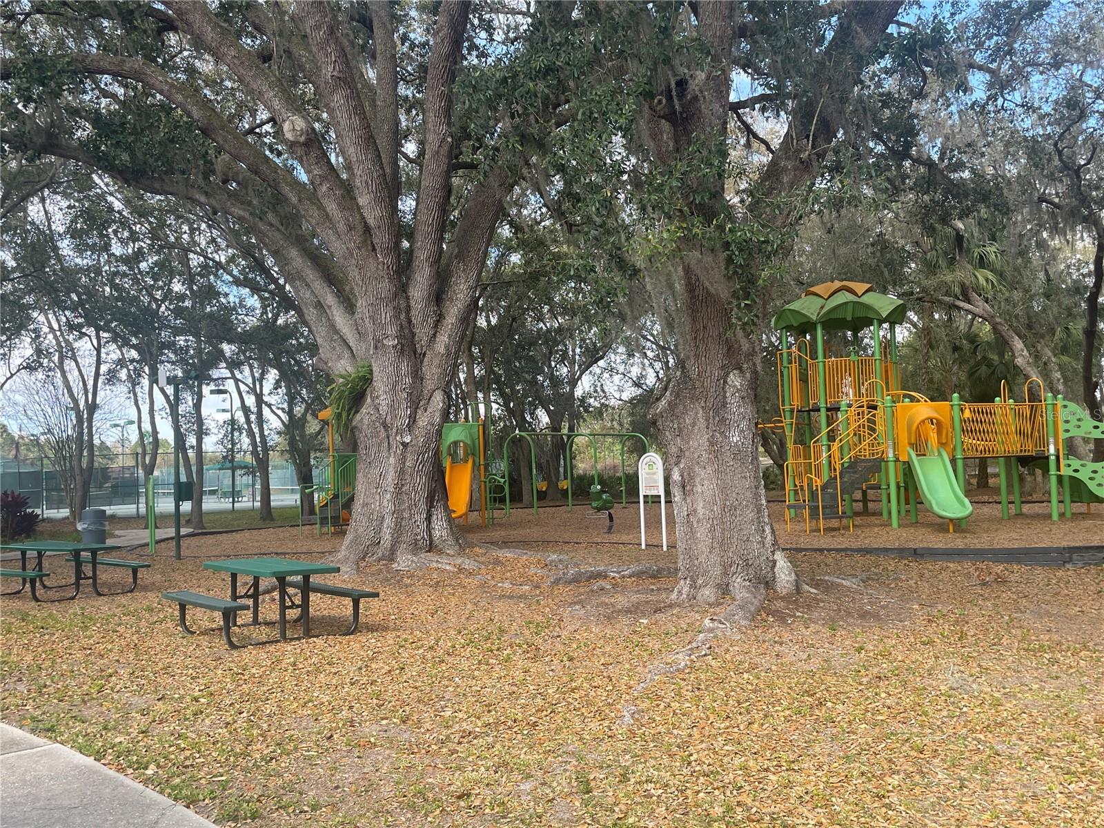 18143 PORTSIDE ST — photo 35