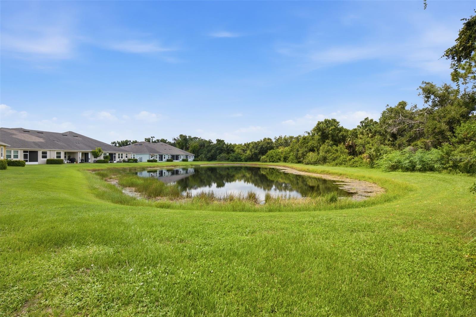 5636 SILVERBRIDGE TRL — photo 46