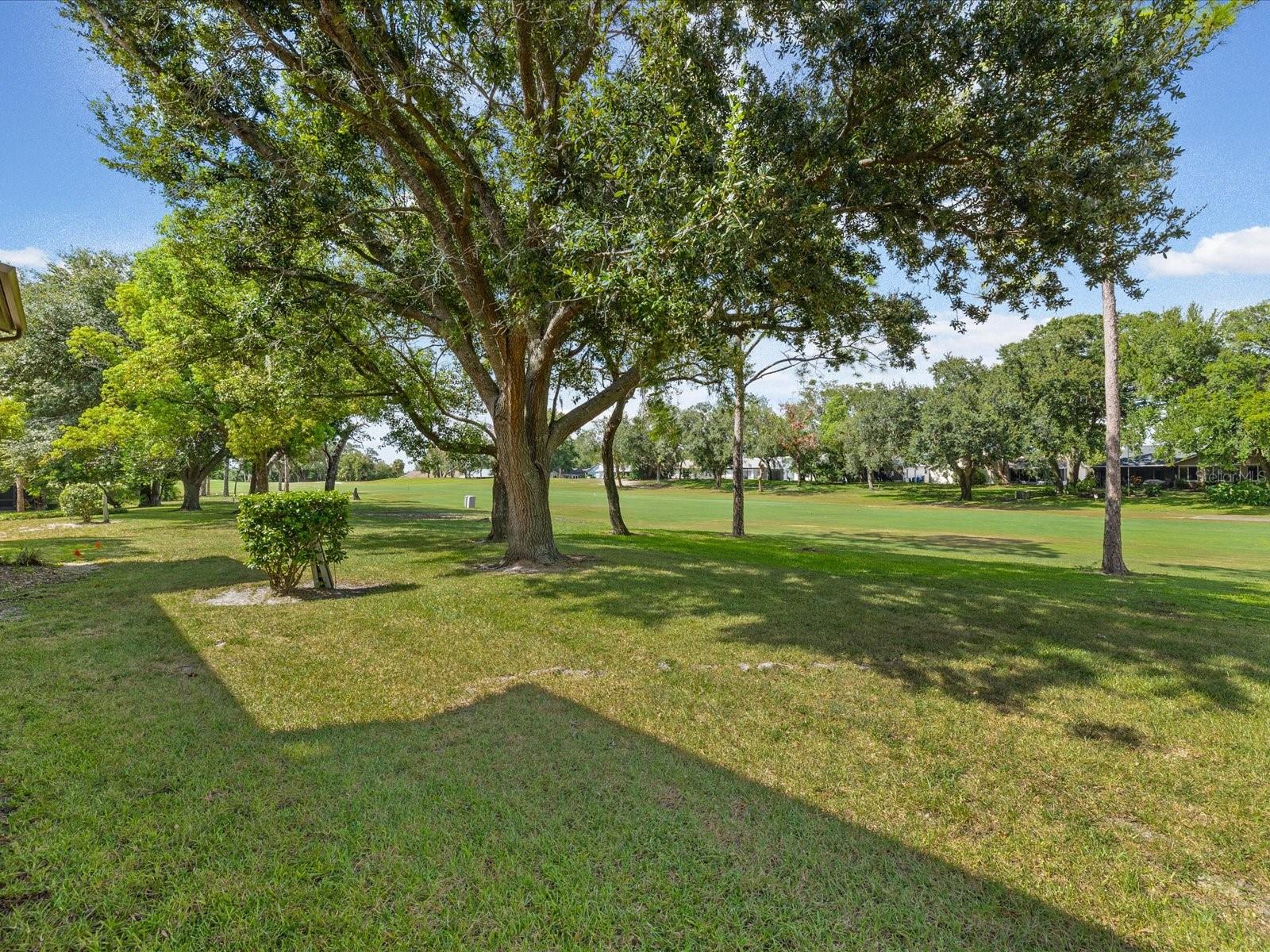 13002 WEDGEWOOD WAY #B — photo 26