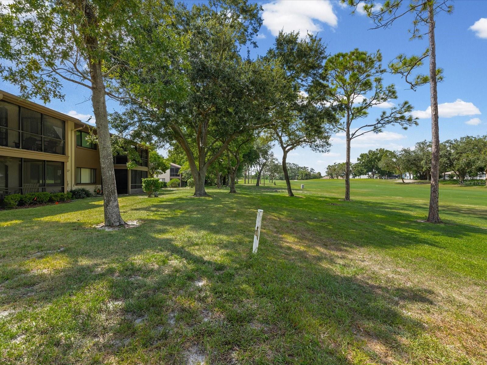 13002 WEDGEWOOD WAY #B — photo 29