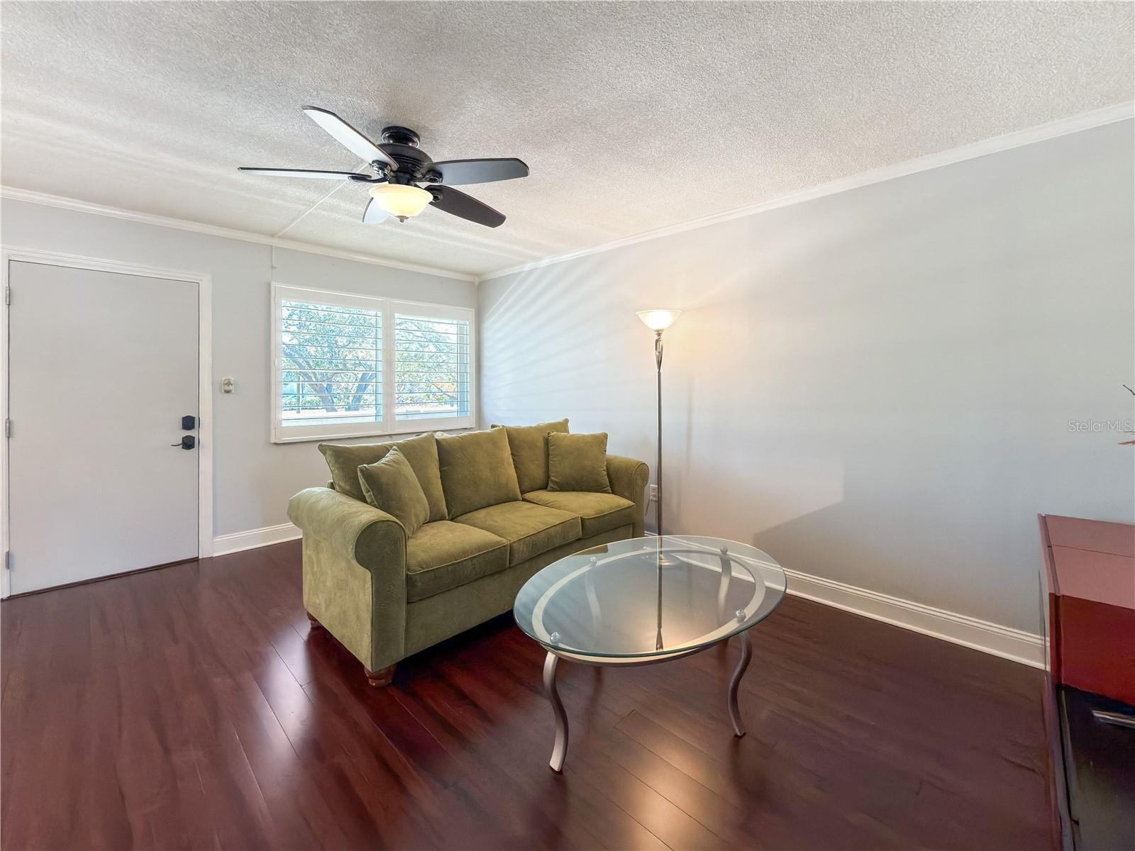 8100 DR MARTIN LUTHER KING JR ST N #202 — photo 17