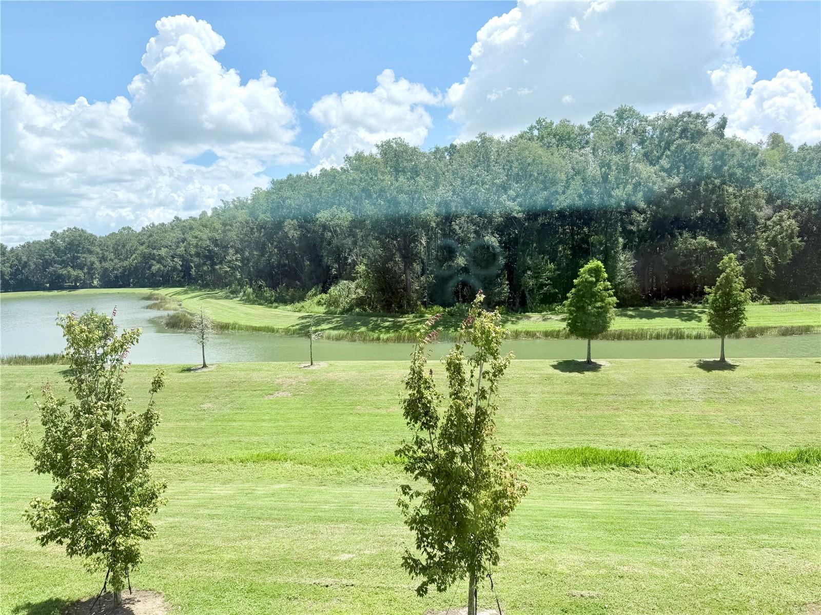 1387 COLT CREEK PL — photo 25