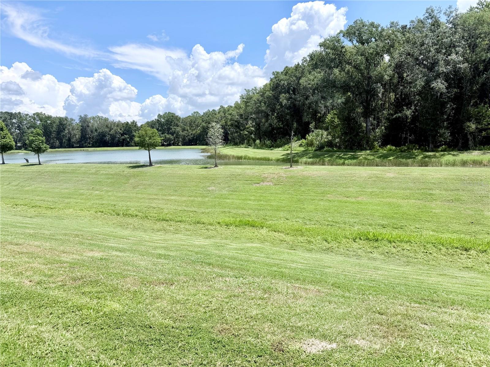 1387 COLT CREEK PL — photo 26