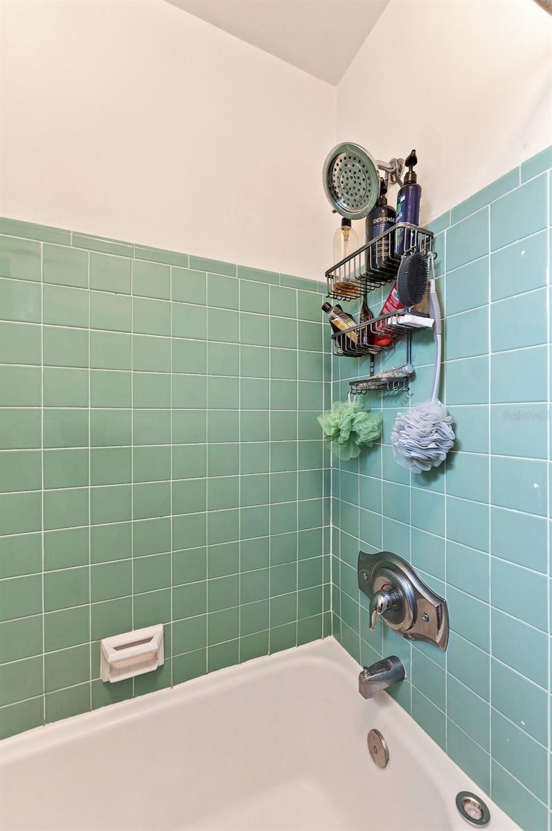 809 E RIVER DR — photo 29