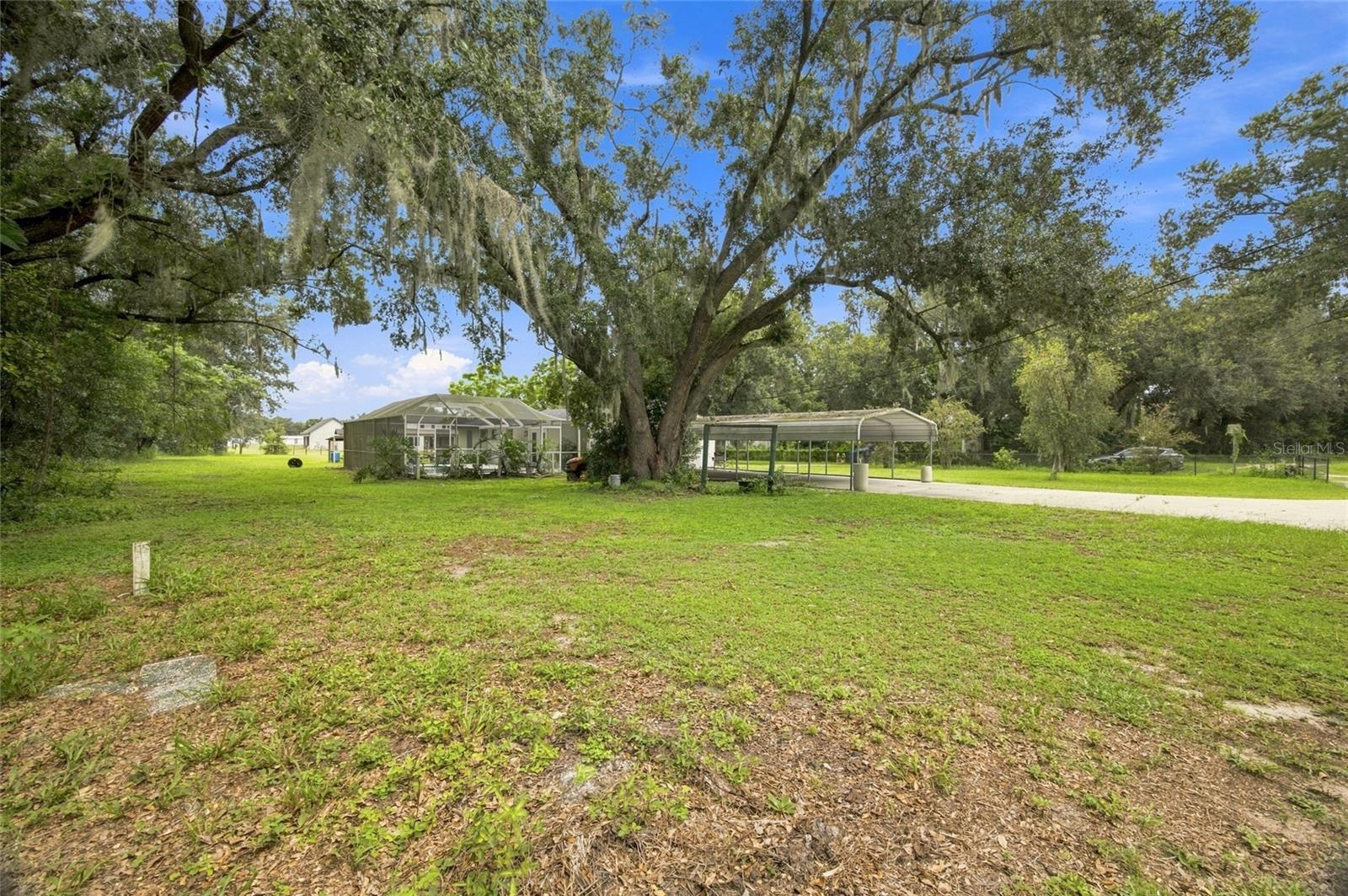 3812 REVEREND DAR DAR DR — photo 31