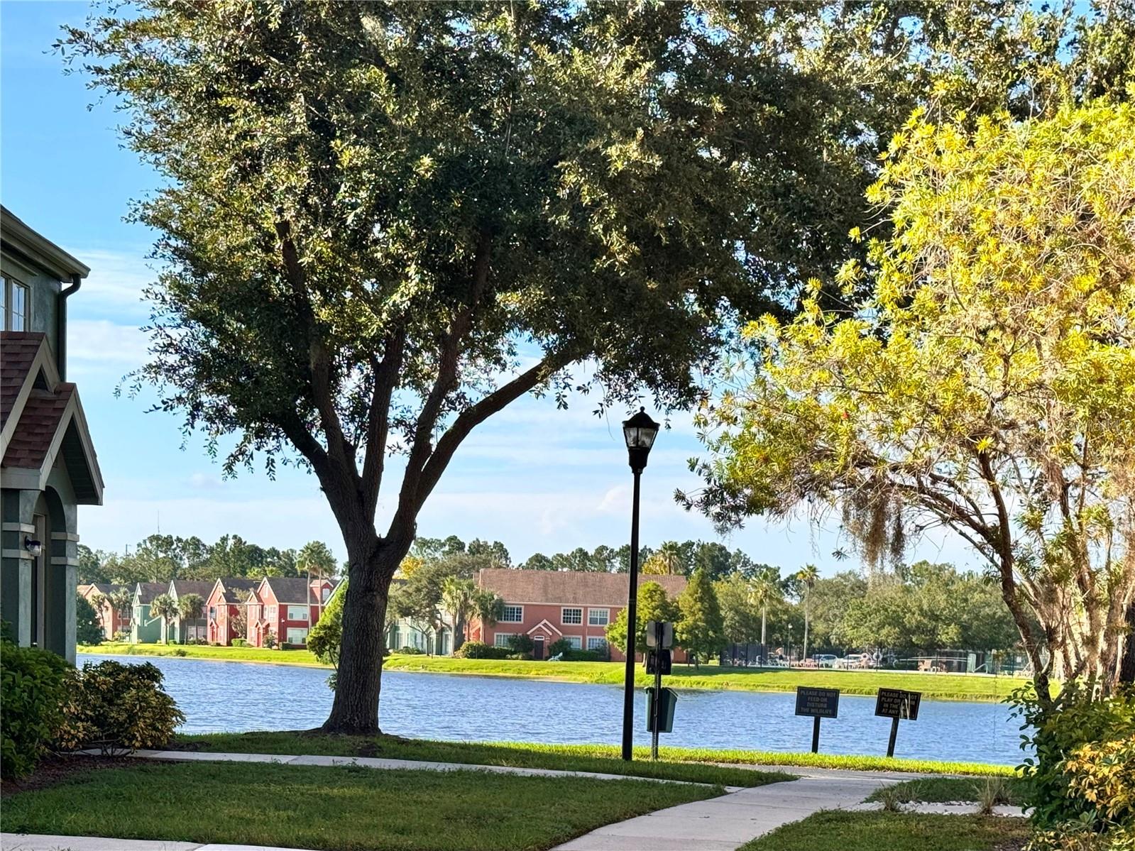 9842 LAKE CHASE ISLAND WAY — photo 25