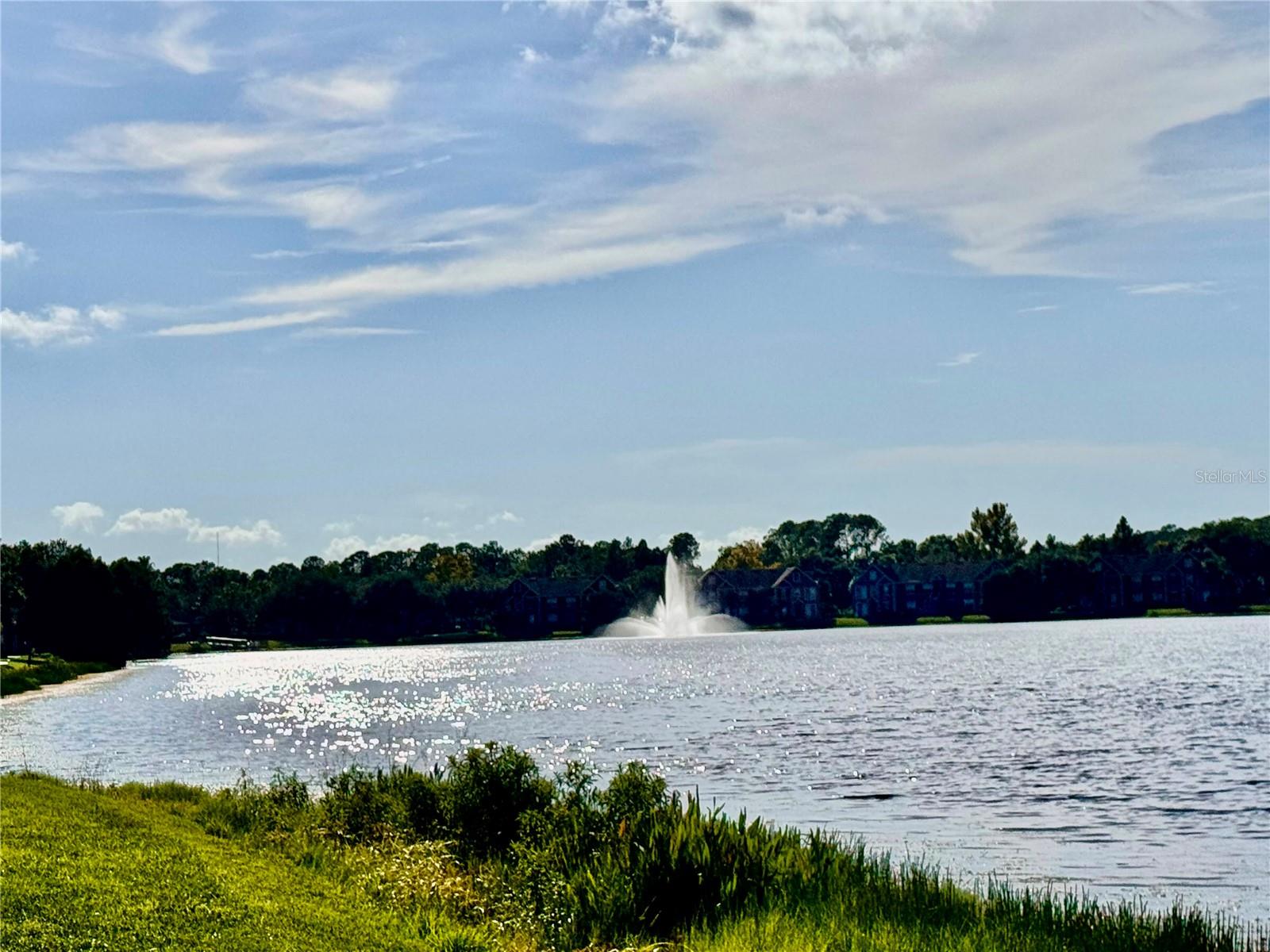 9842 LAKE CHASE ISLAND WAY — photo 21