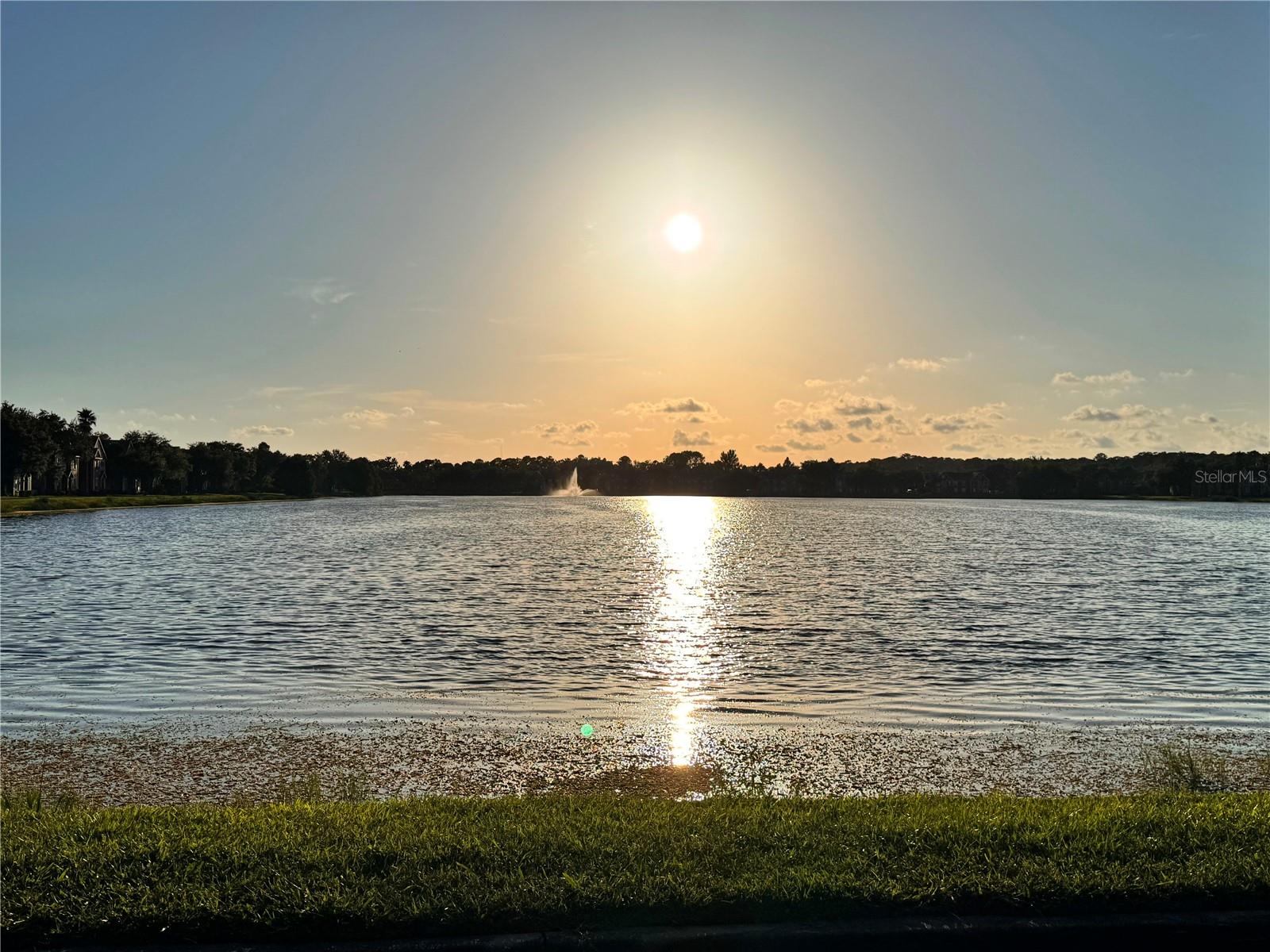 9842 LAKE CHASE ISLAND WAY — photo 14