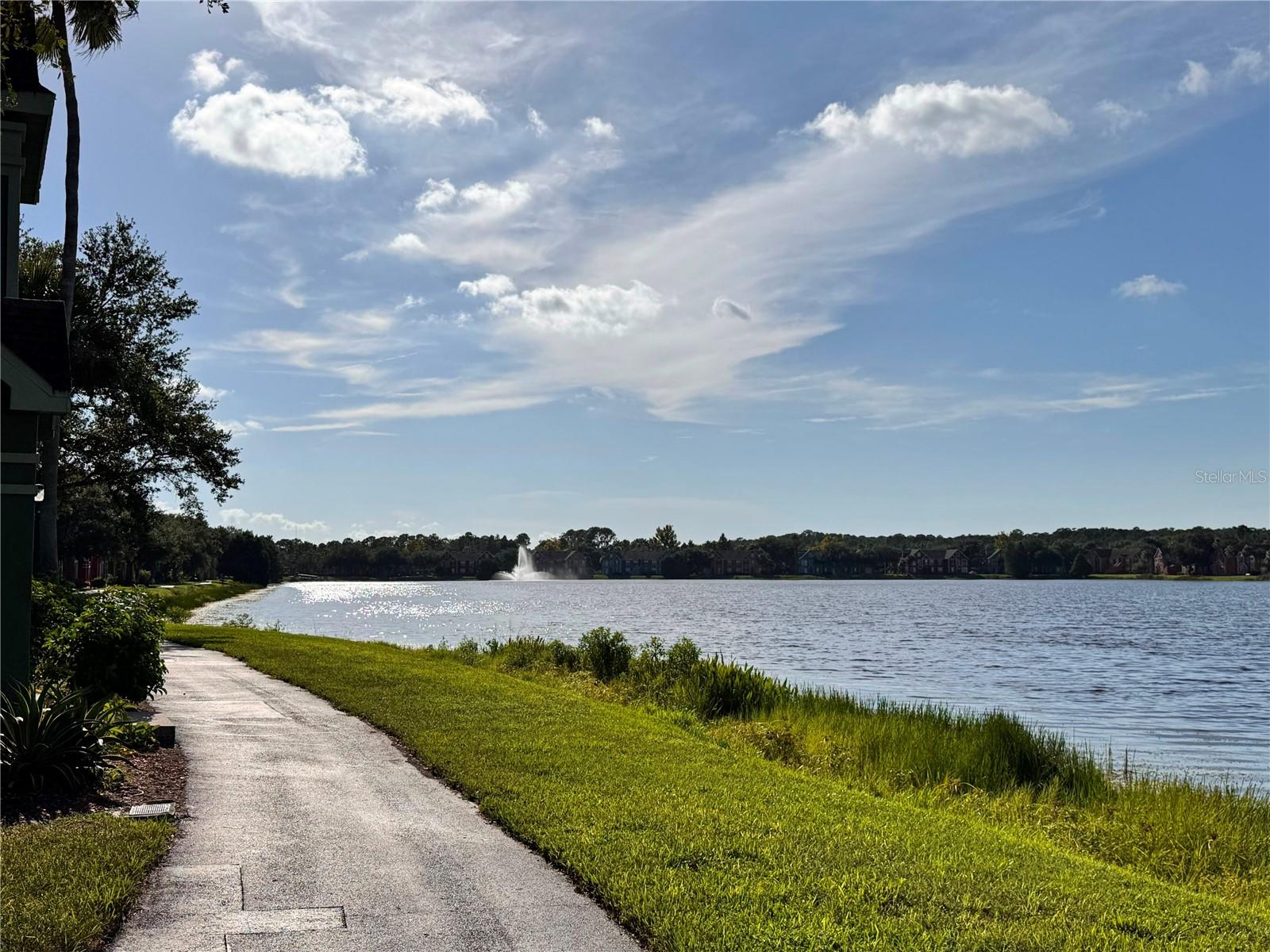 9842 LAKE CHASE ISLAND WAY — photo 18