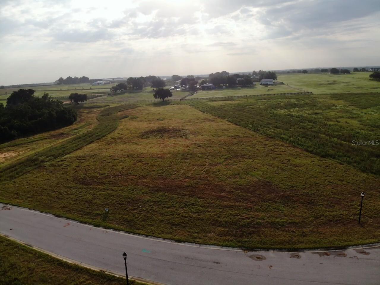 10023 WHITE EGRET DR — photo 3