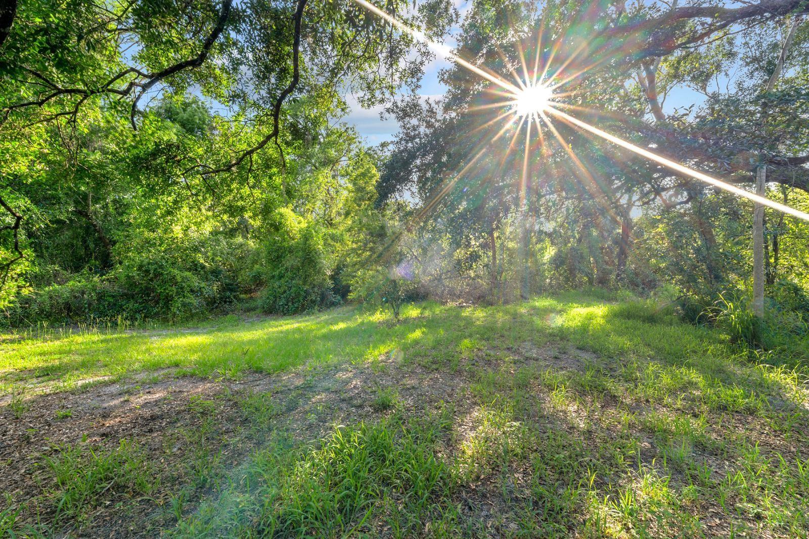 7705 GARDNER RD — photo 44