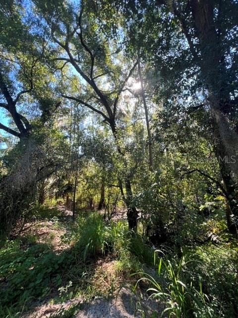 7705 GARDNER RD — photo 45
