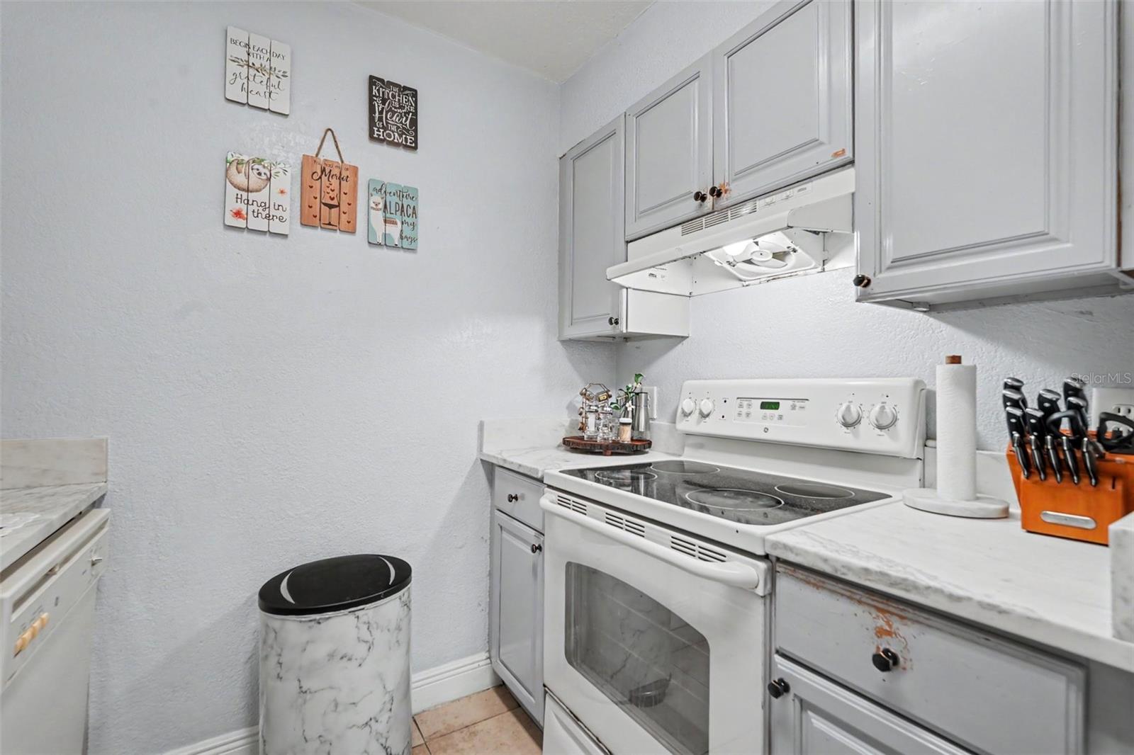 13832 ORANGE SUNSET DR #101 — photo 19