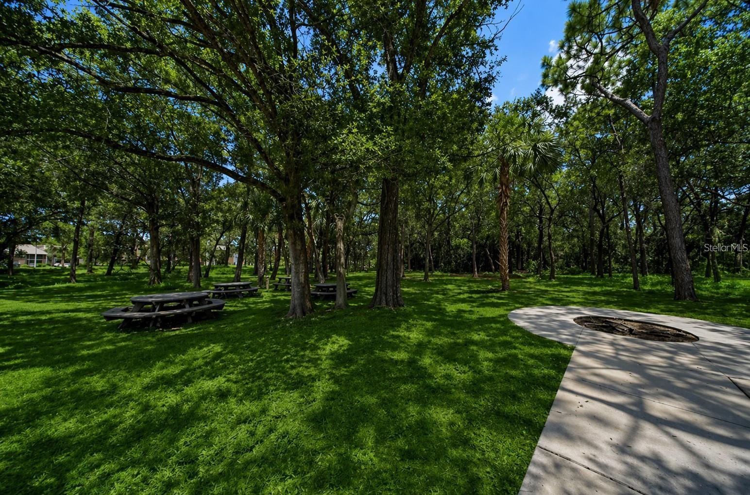 1400 GANDY BLVD N #816 — photo 87