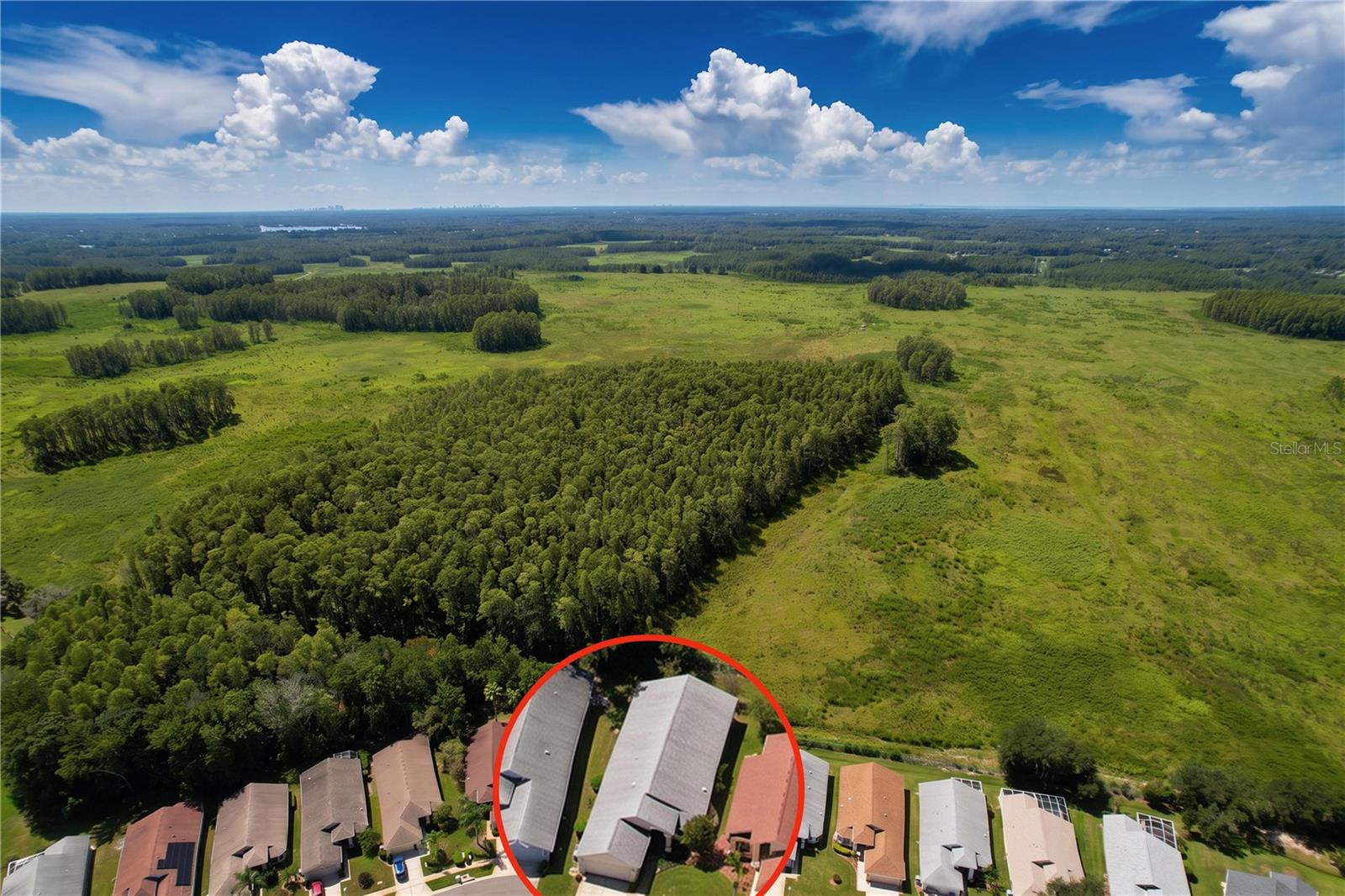 1017 SWEET JASMINE DR — photo 46