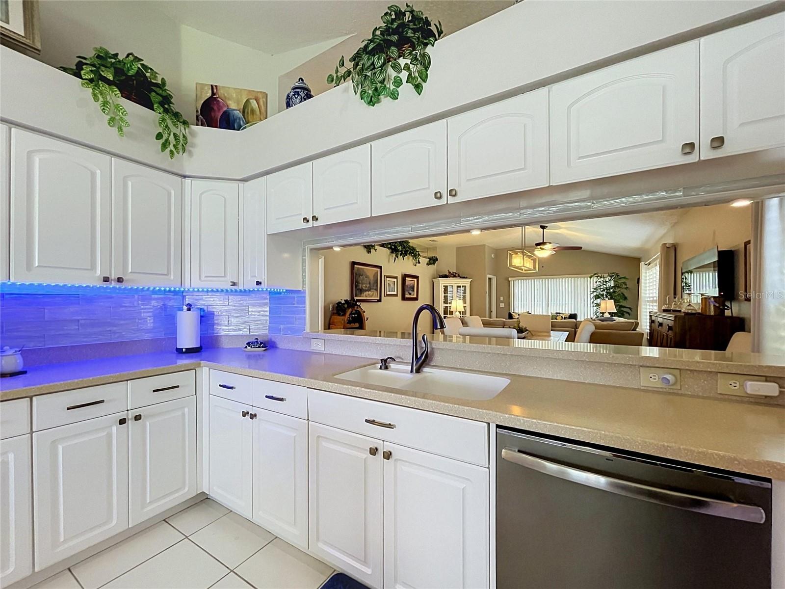 1017 SWEET JASMINE DR — photo 17