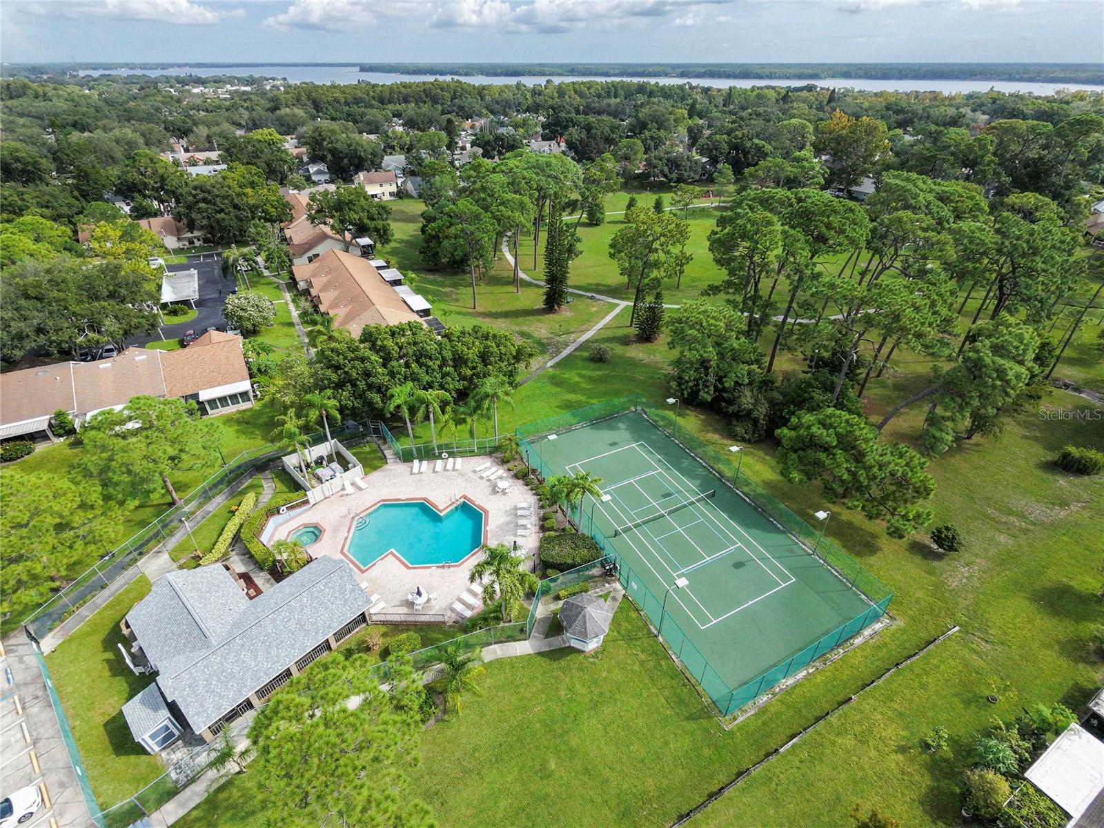3100 PINE FOREST DR — photo 55