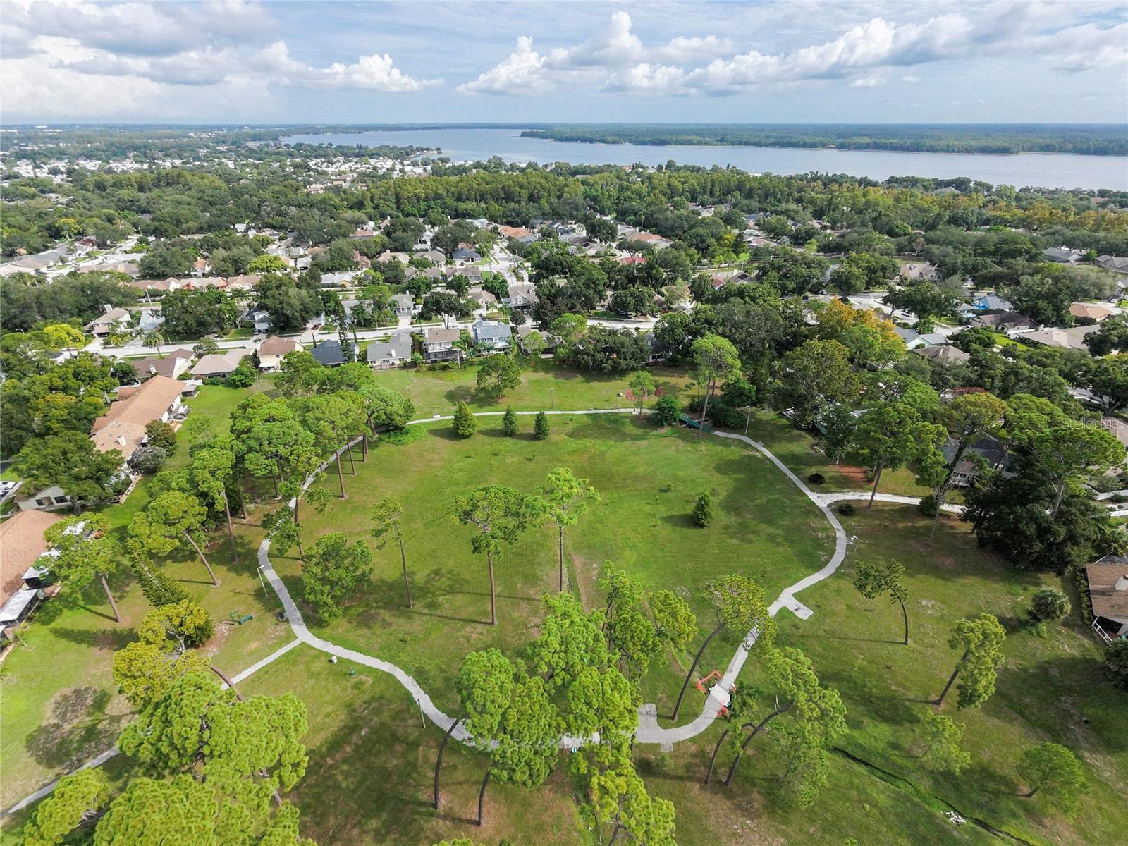 3100 PINE FOREST DR — photo 54