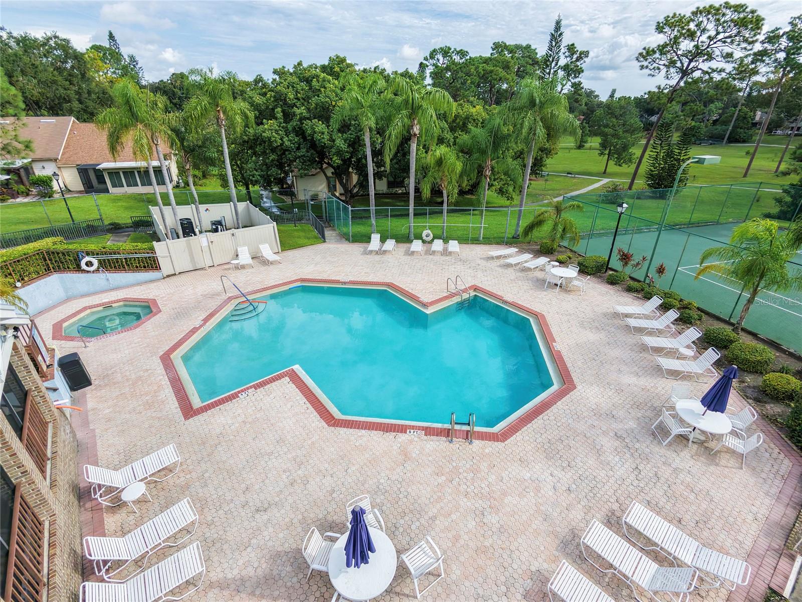 3100 PINE FOREST DR — photo 57