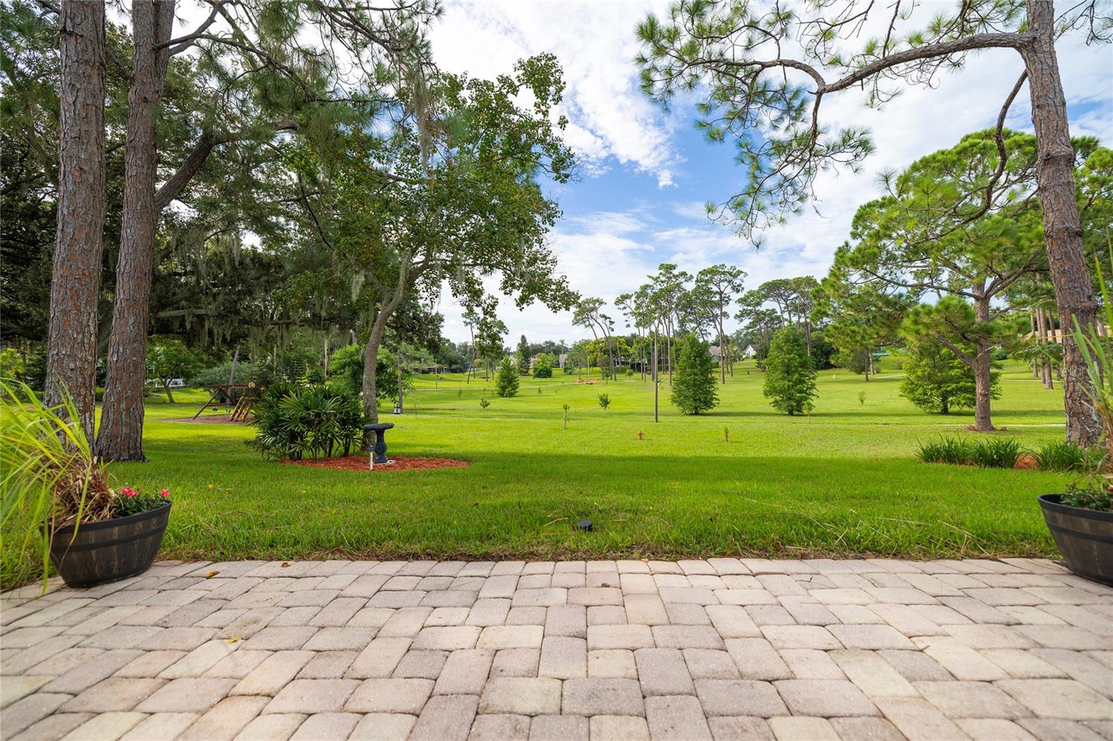3100 PINE FOREST DR — photo 49