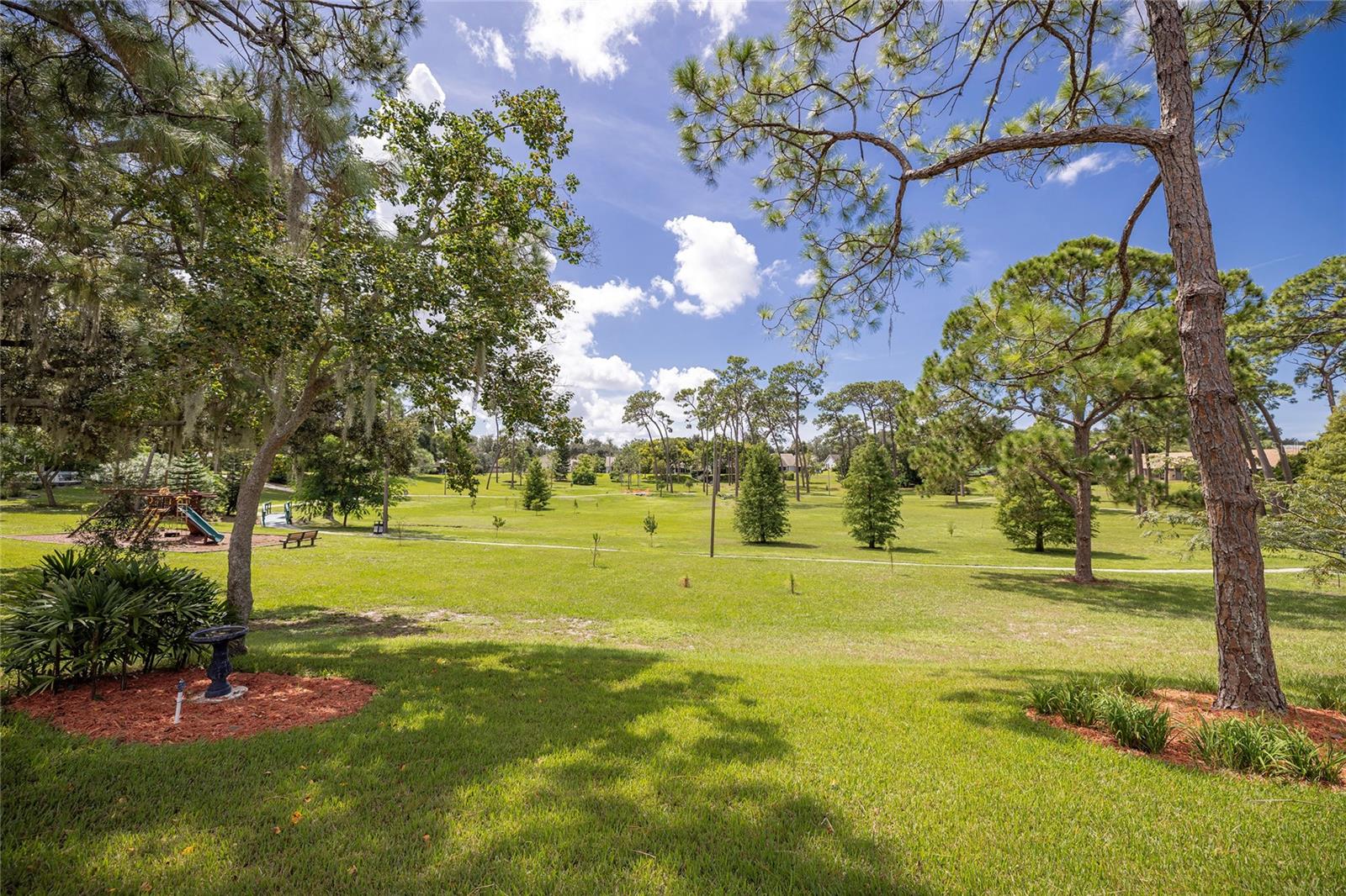 3100 PINE FOREST DR — photo 50