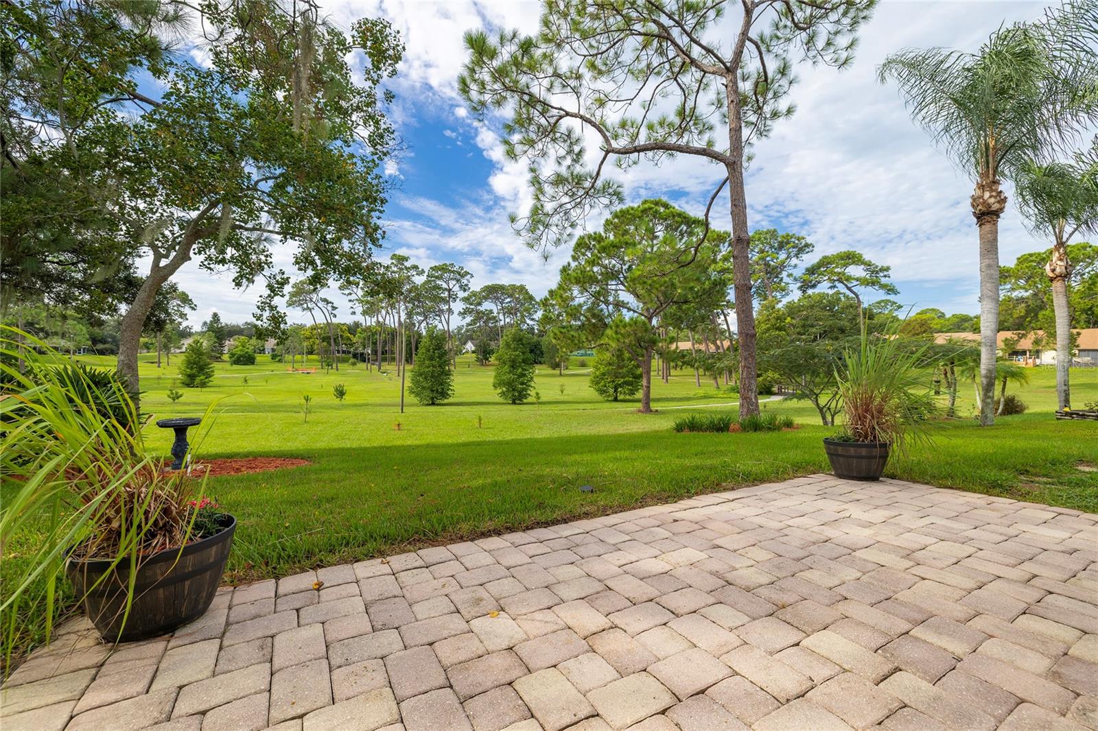 3100 PINE FOREST DR — photo 48