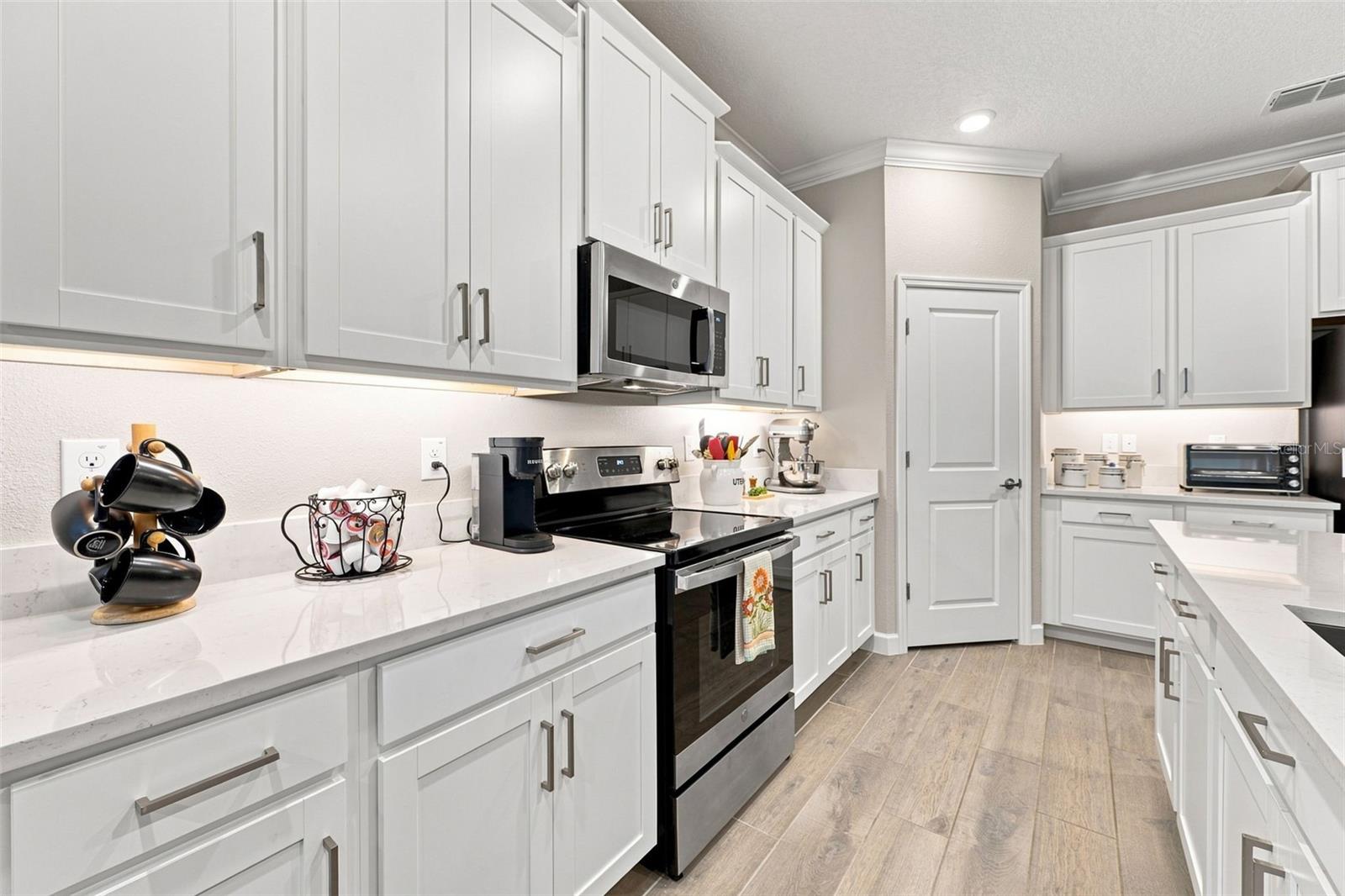 17254 MANGO SHAY CT — photo 17