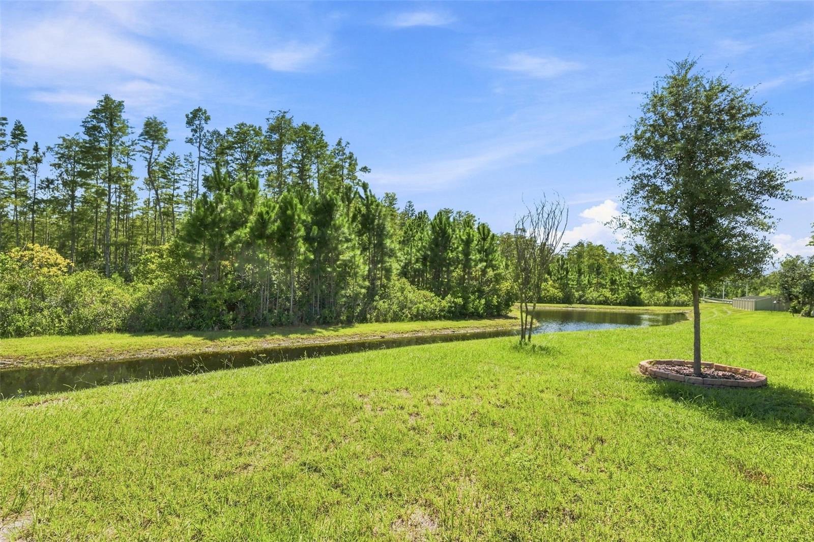 17254 MANGO SHAY CT — photo 49