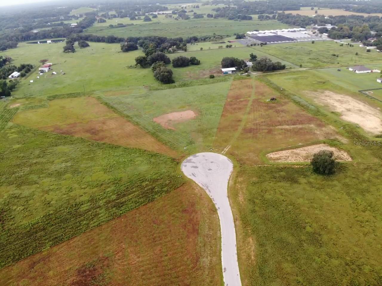 10016 WHITE EGRET DR — photo 4