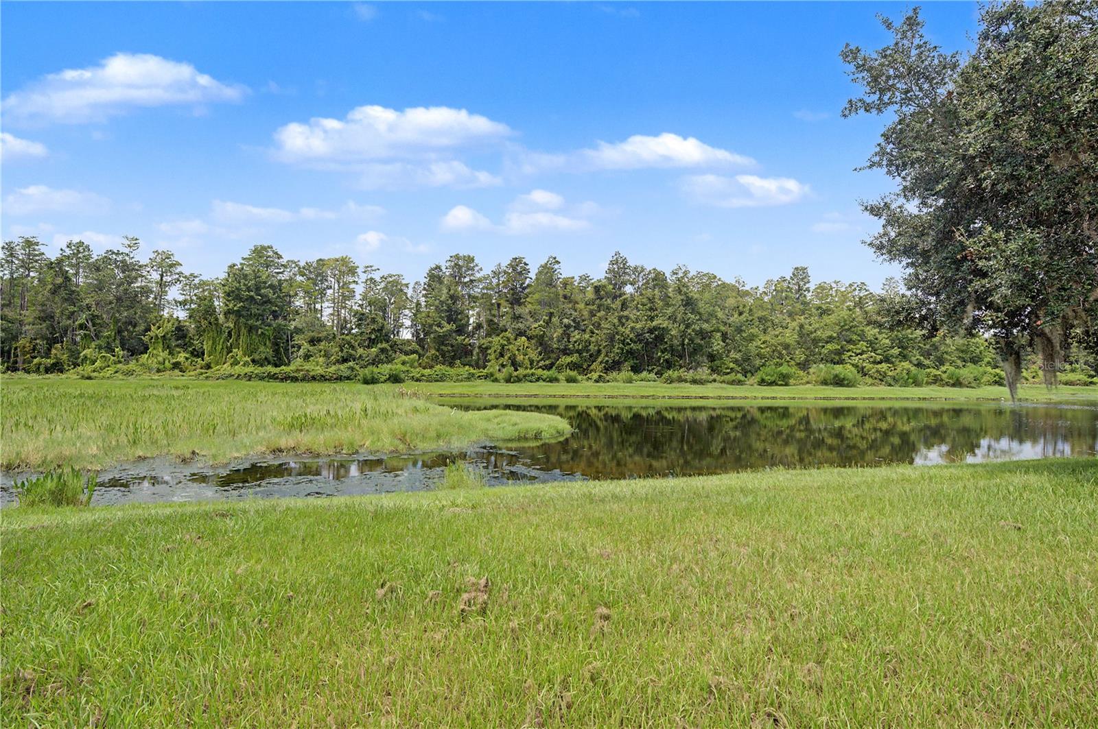 9837 JASMINE BROOK CIR — photo 40