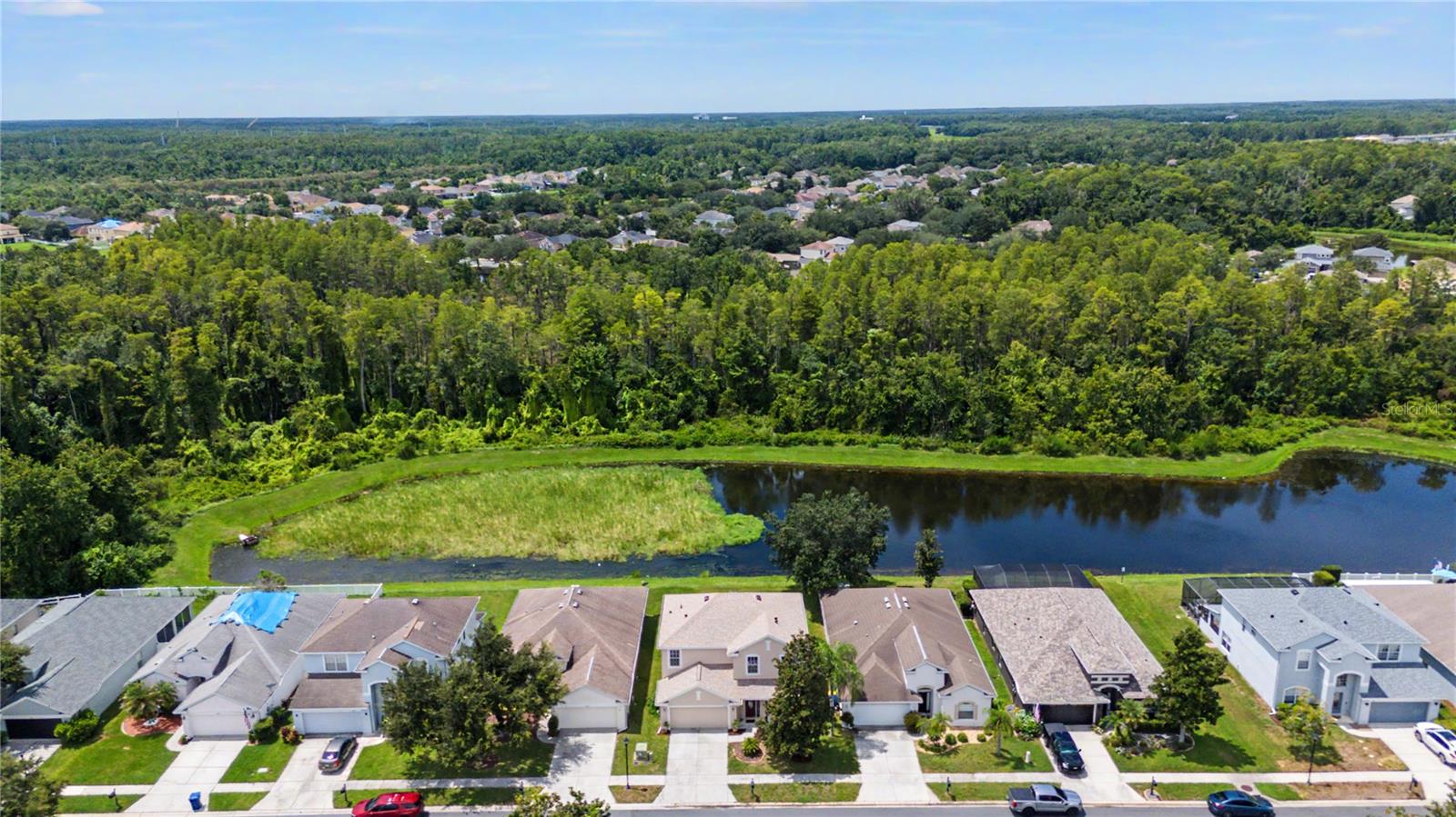 9837 JASMINE BROOK CIR — photo 45