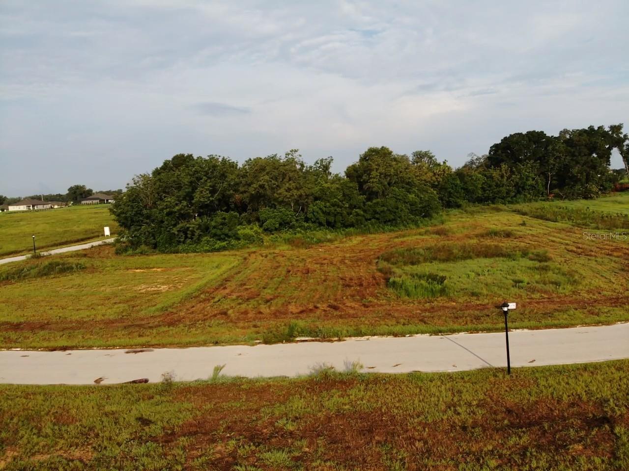 WHITE EGRET DR — photo 2