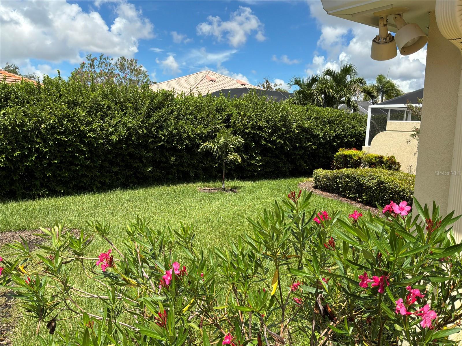 7562 QUINTO DR — photo 26