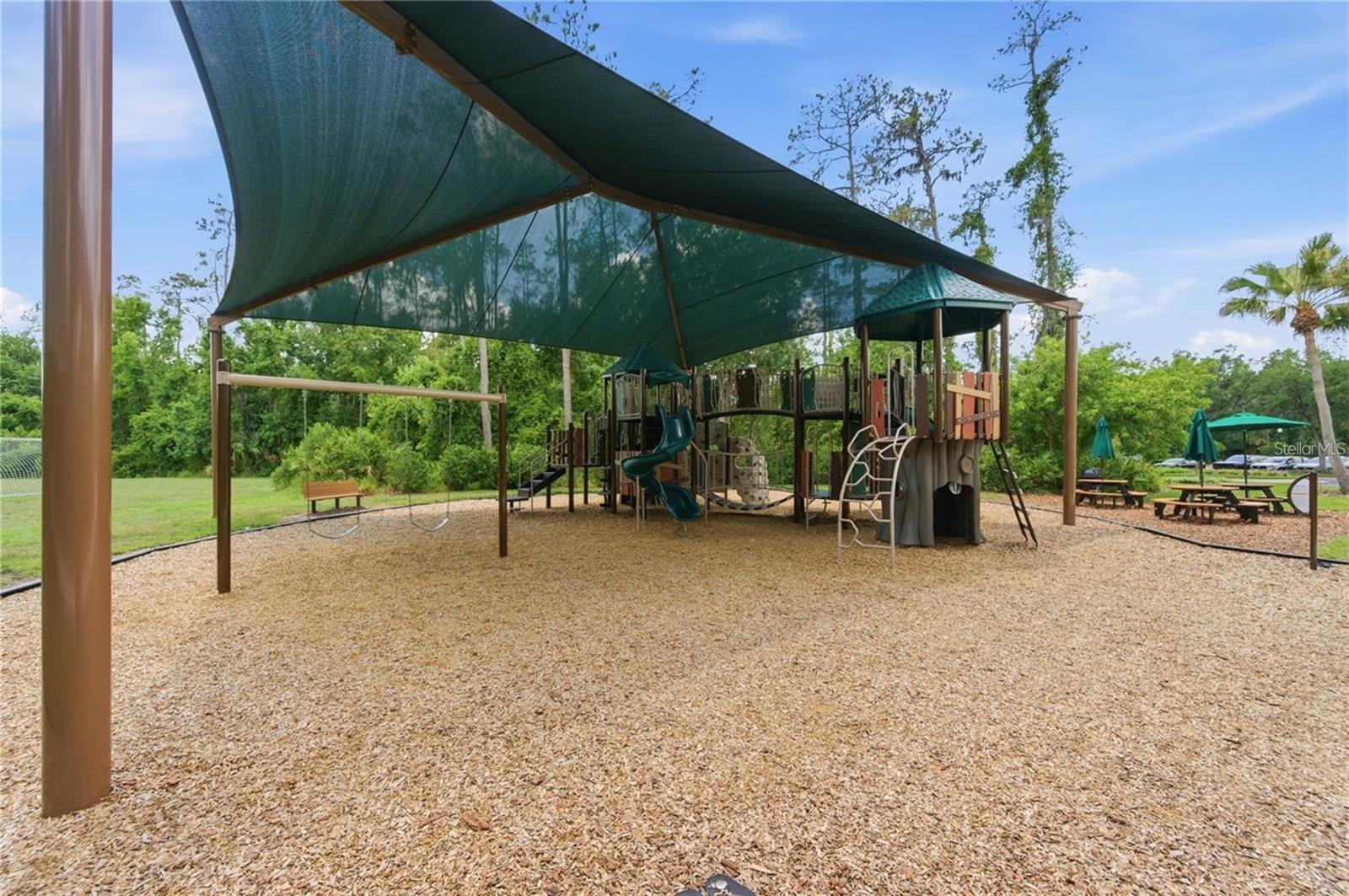 4143 WILDSTAR CIR — photo 78